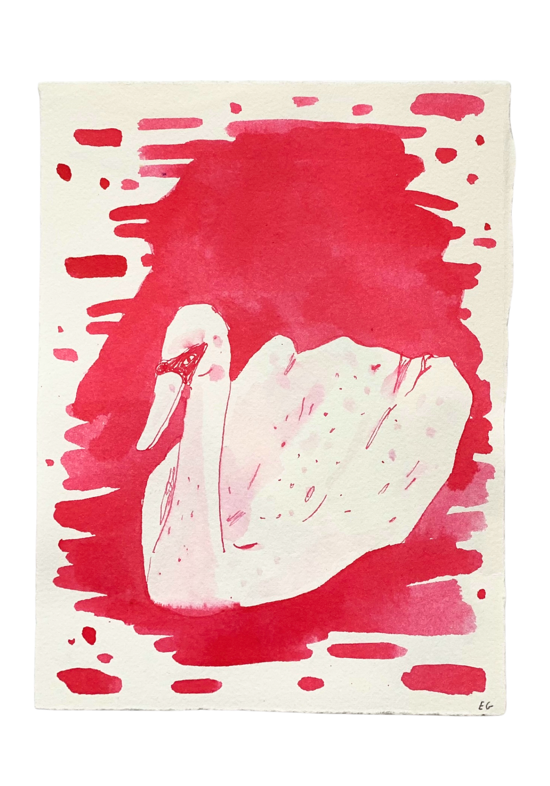 Pink Inkwash Bird #1 by ELIZABETH GRAEBER