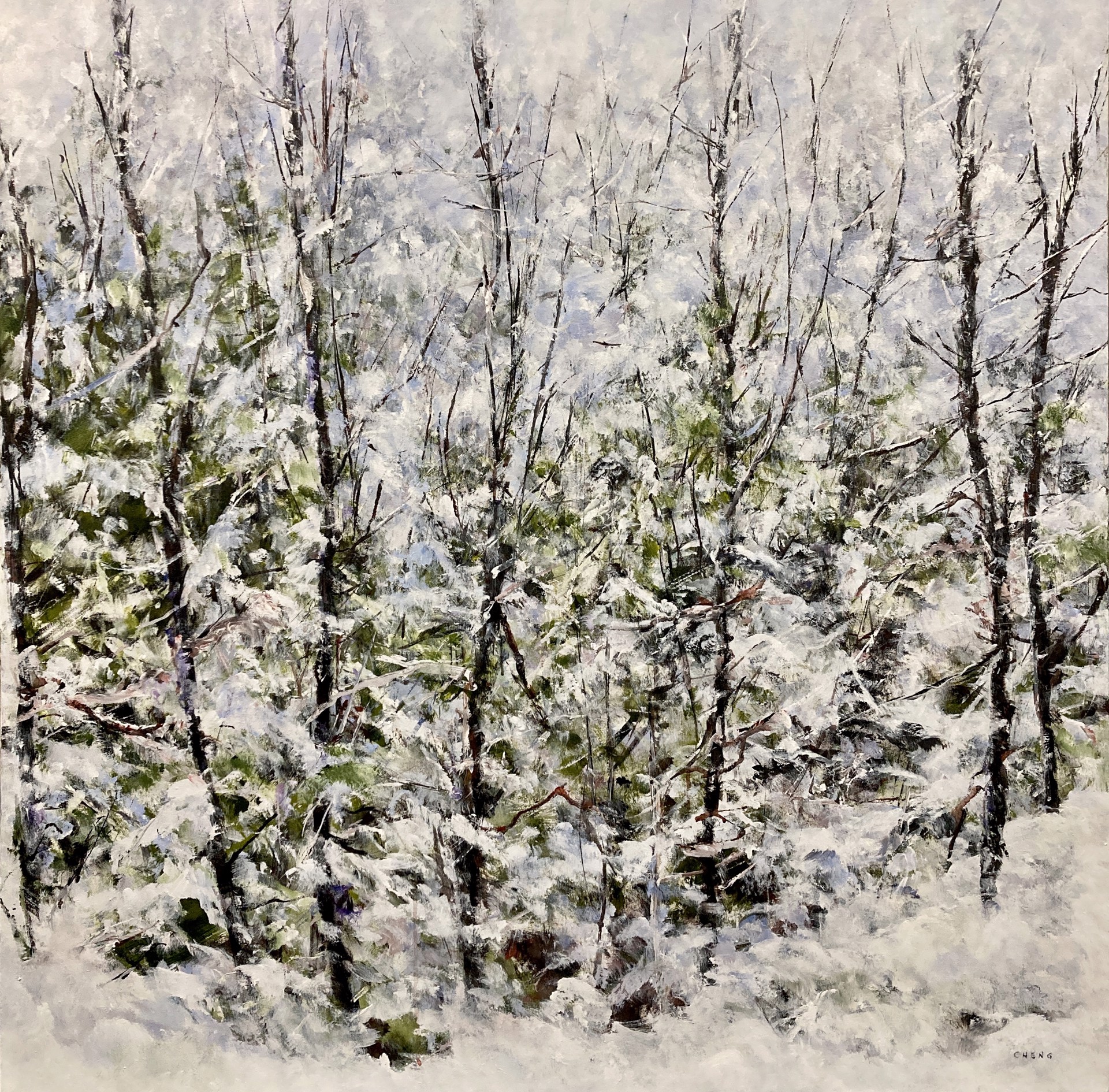 Fresh Snowfall by Judy Cheng