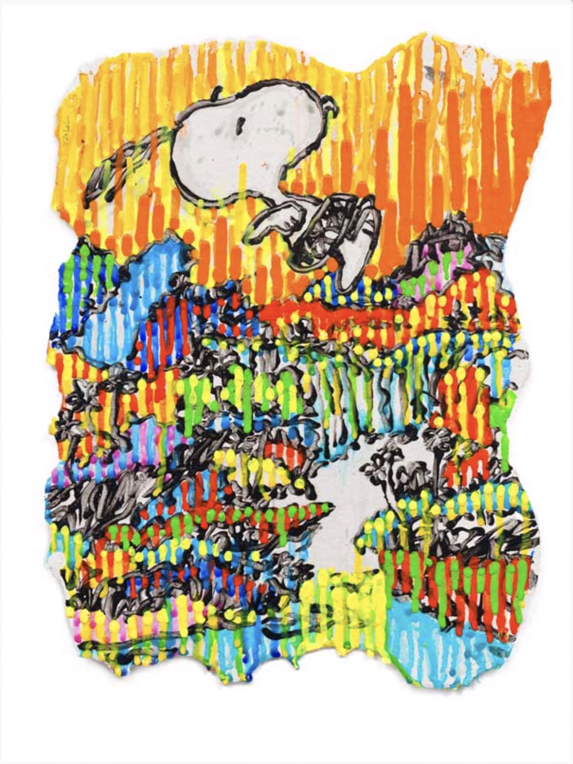 Super Fly - Fall by Tom Everhart