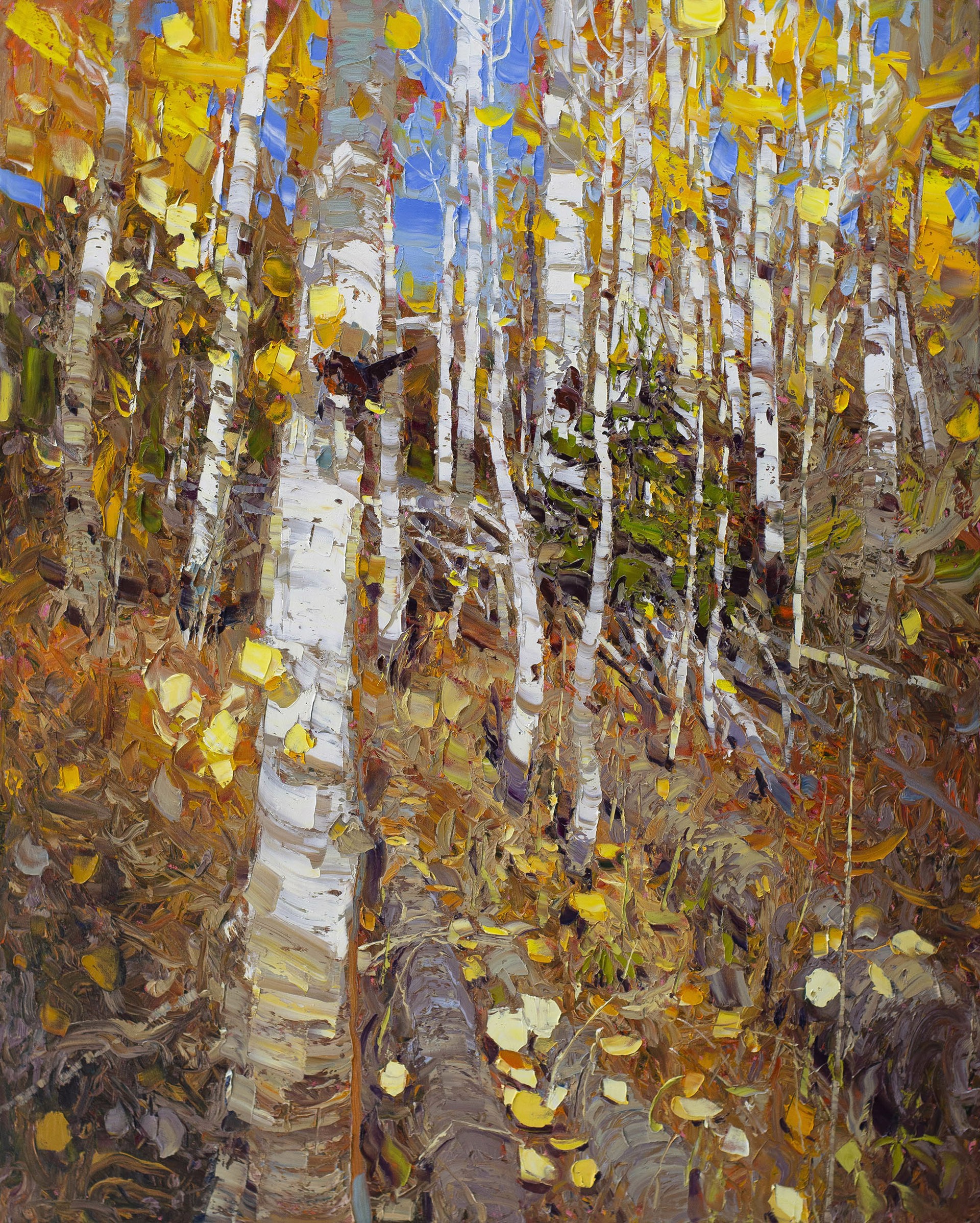 Original Oil Landscape Painting Featuring Dense Fall Aspen Trees With Blue Sky Peaking Through Background