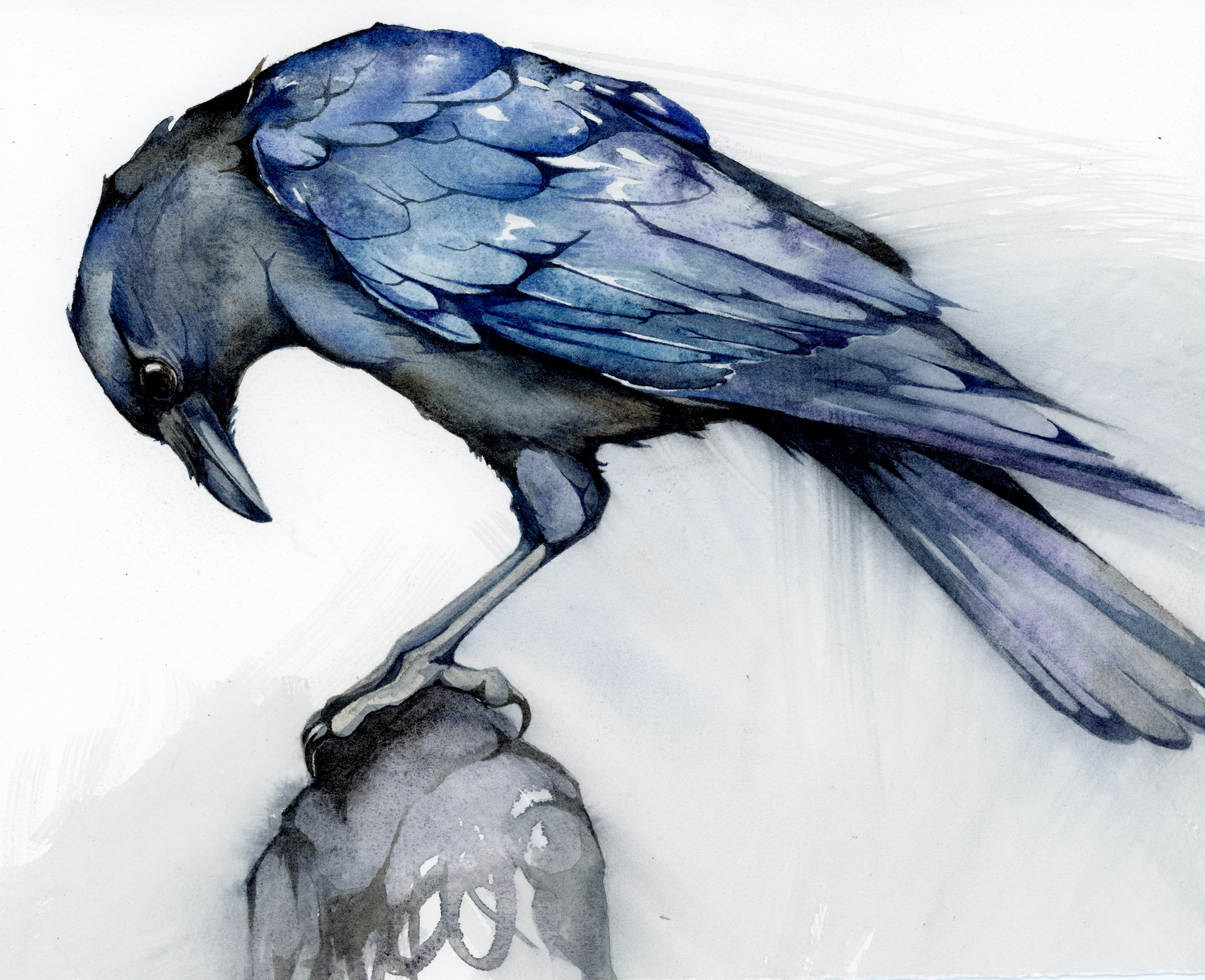 She Seemed to Whisper (Corvid) by Jennifer Anderson