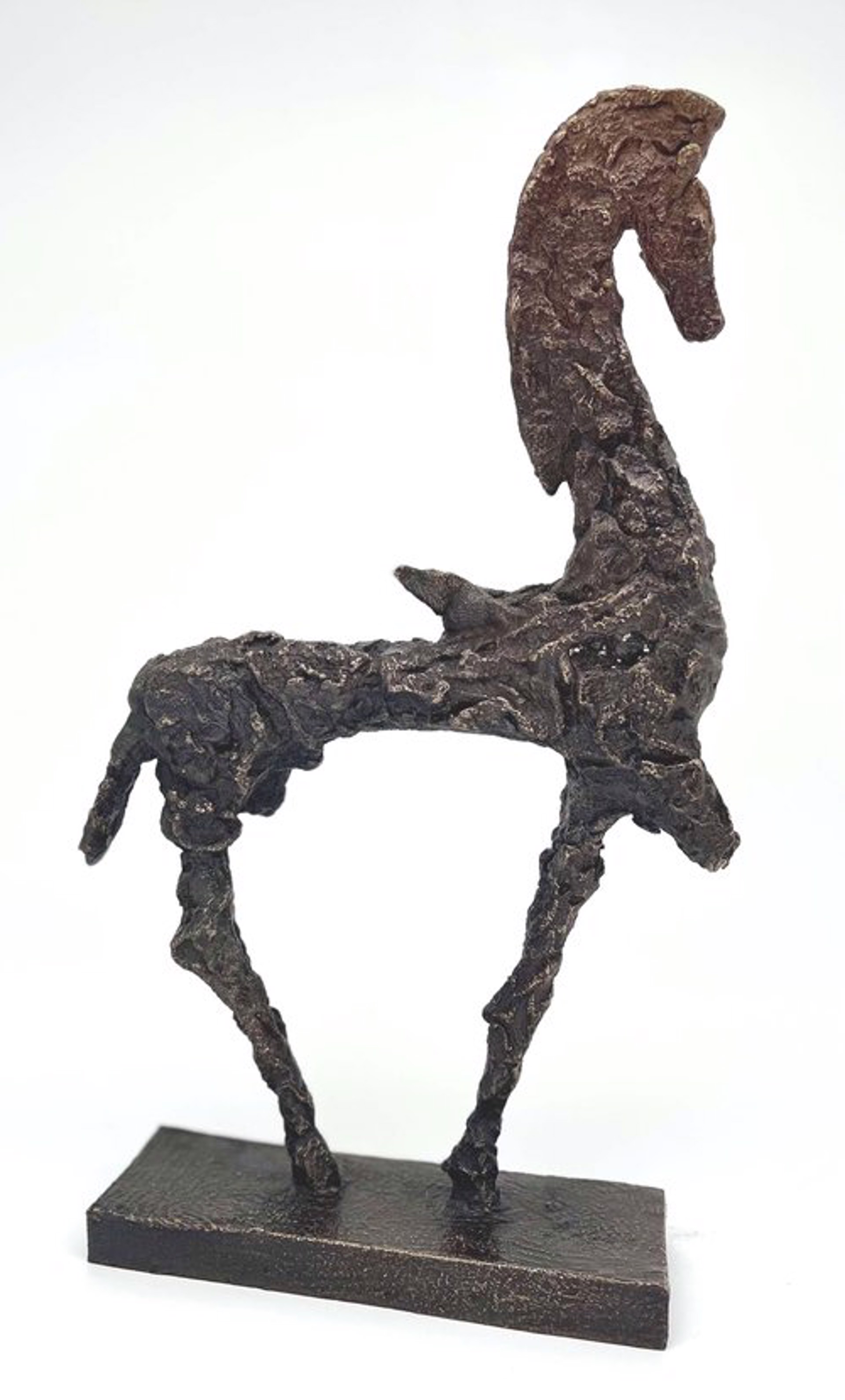 Equus by Gustavo Torres