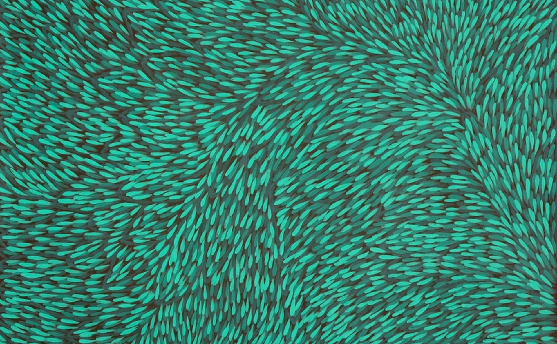 Gloria Petyarre作 アボリジニアート Aboriginal art