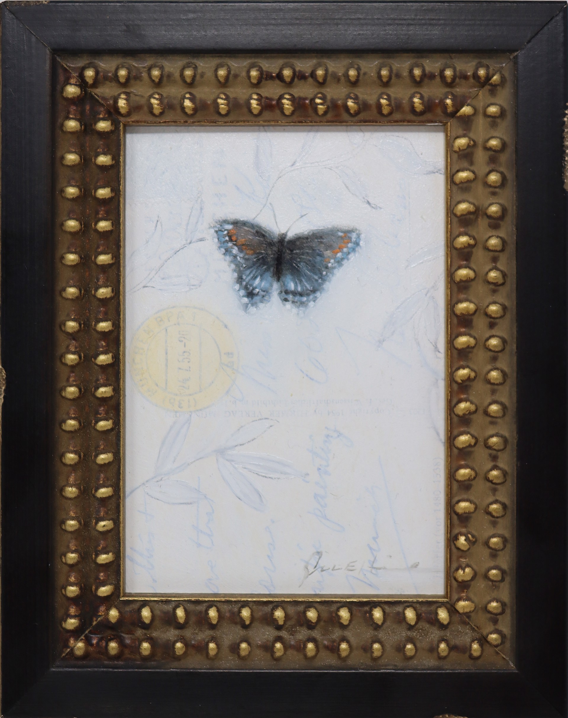 Butterfly by Scott E. Hill