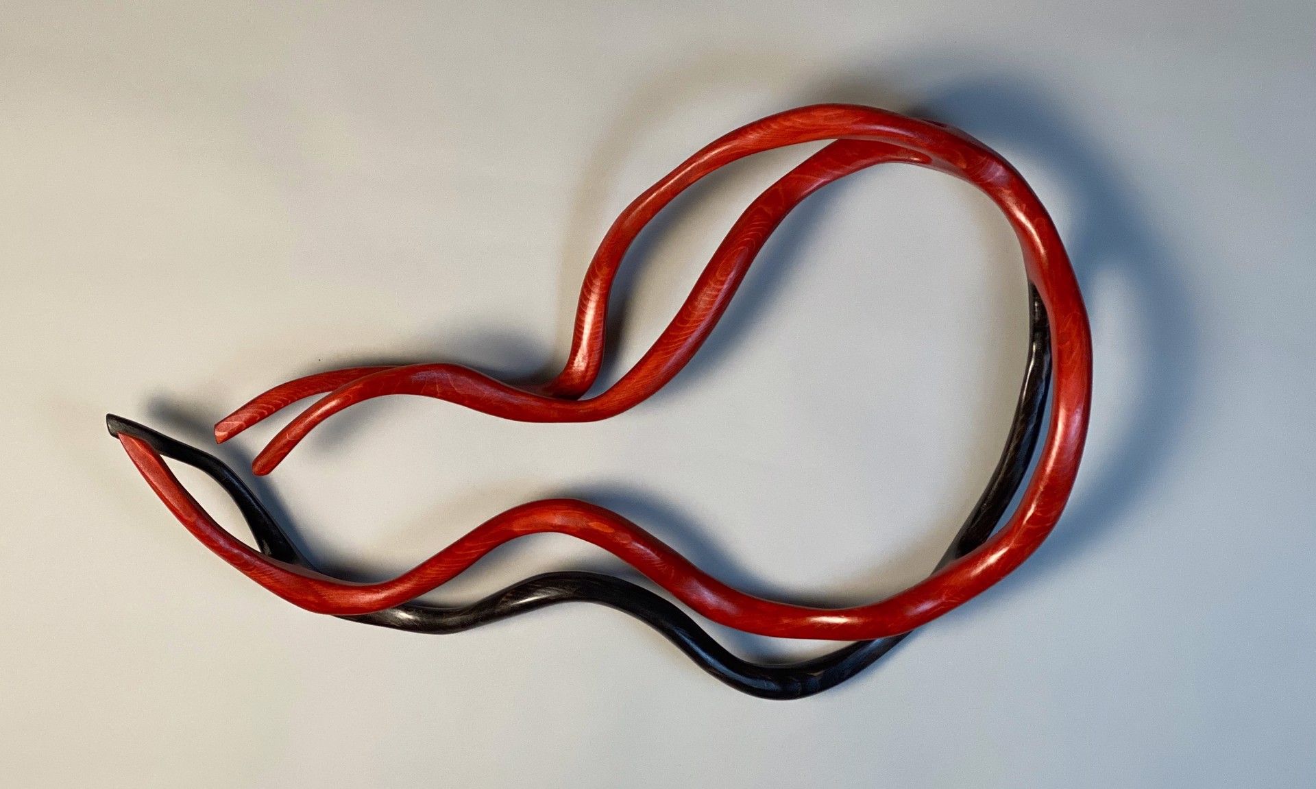 Small Red with Black Rope by Caprice Pierucci