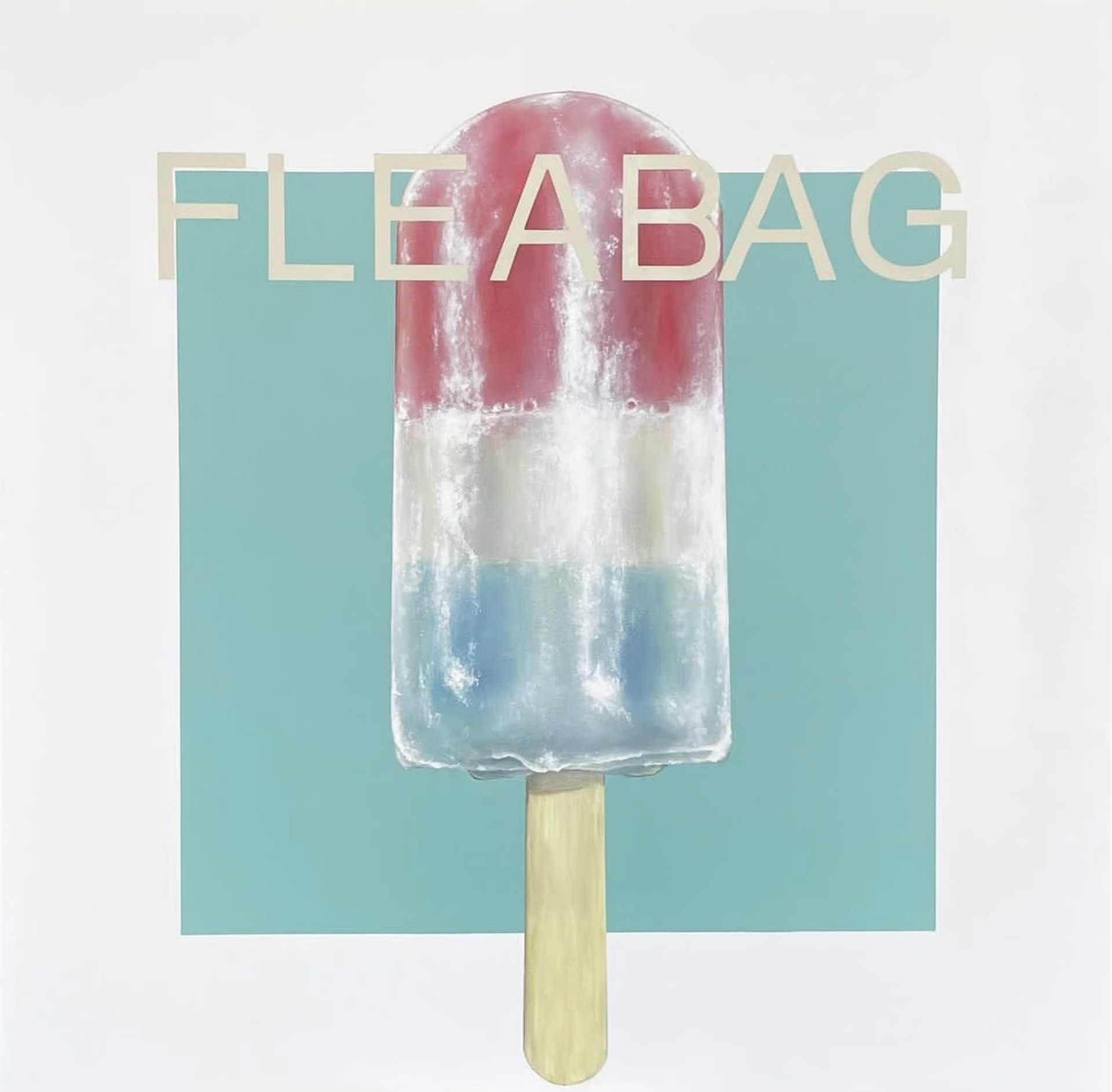 Fleabag by Ariel Parrow