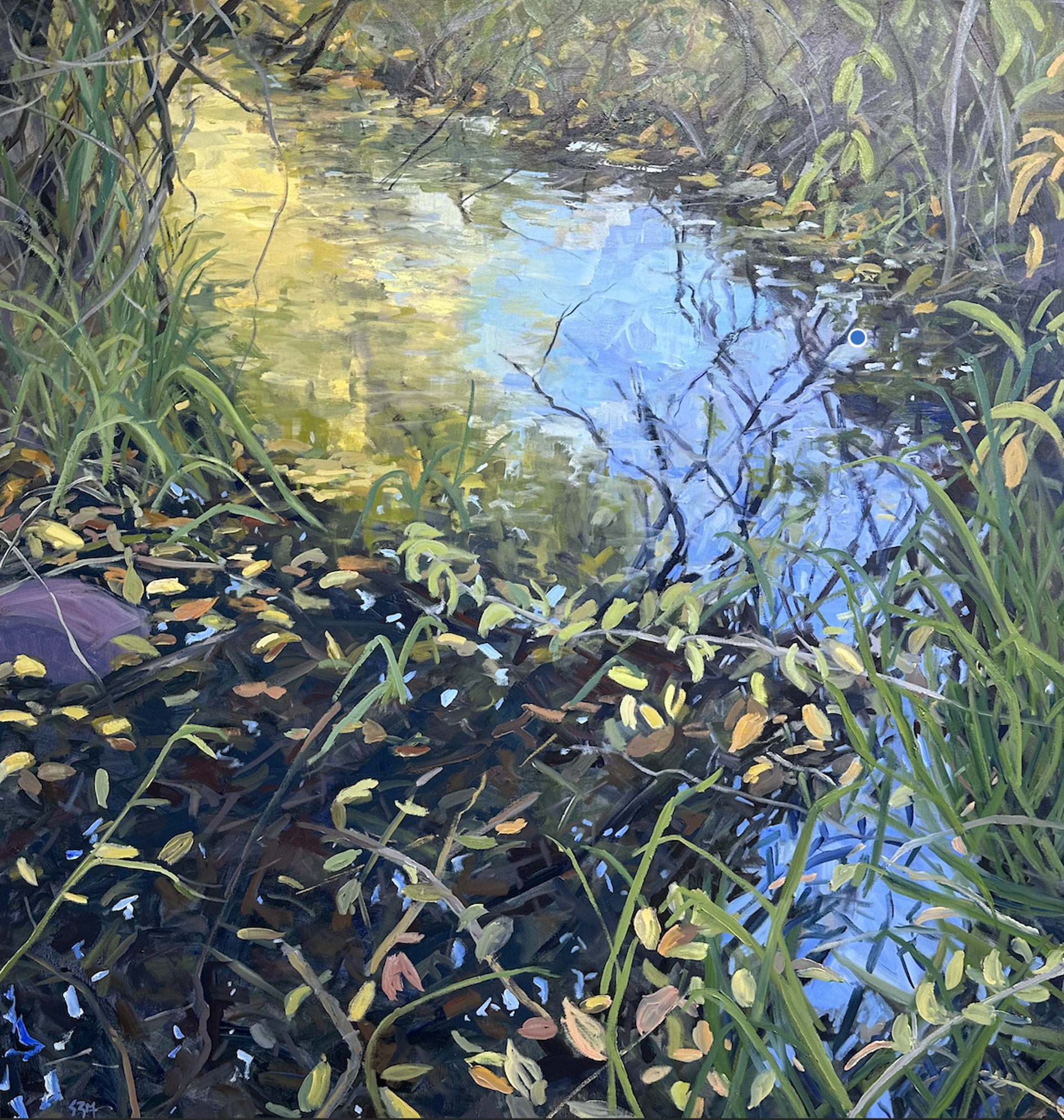 Brushy Creek by Susu Meyer