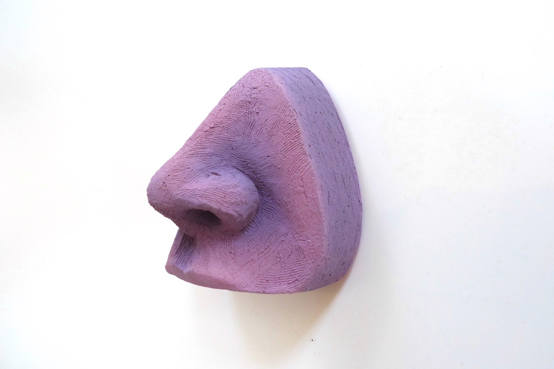 Nose Study by Jamie Bates Slone