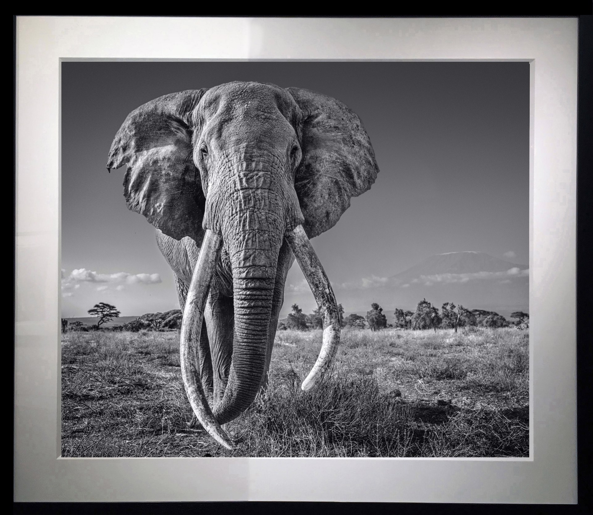 Space for Giants by David Yarrow