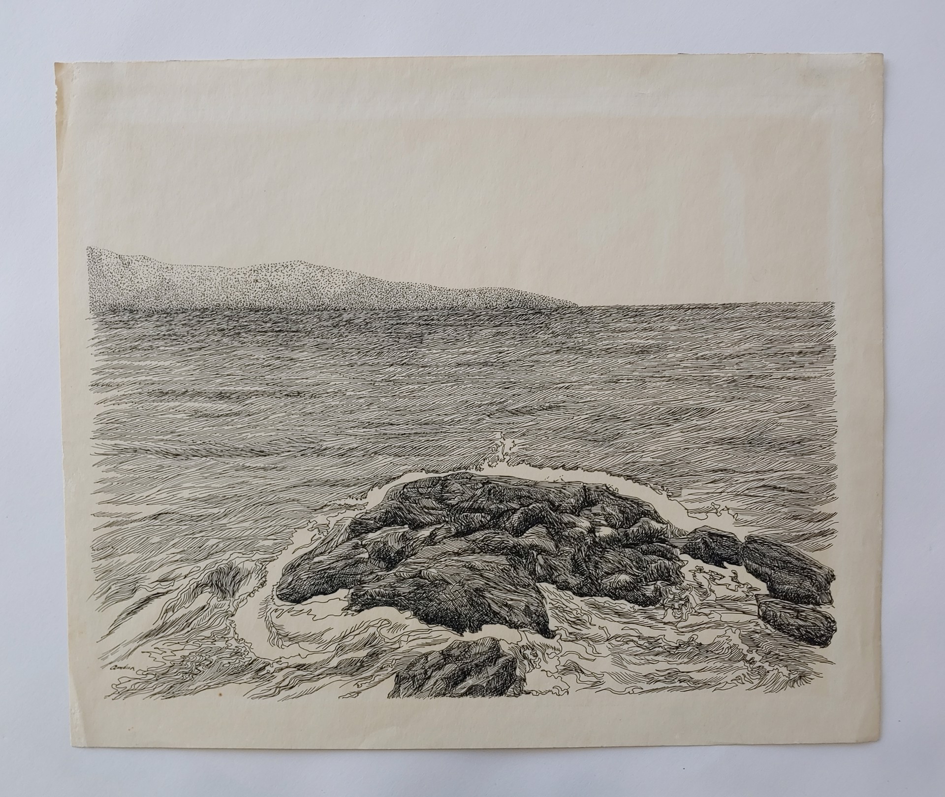 Coast - Drawing by David Amdur