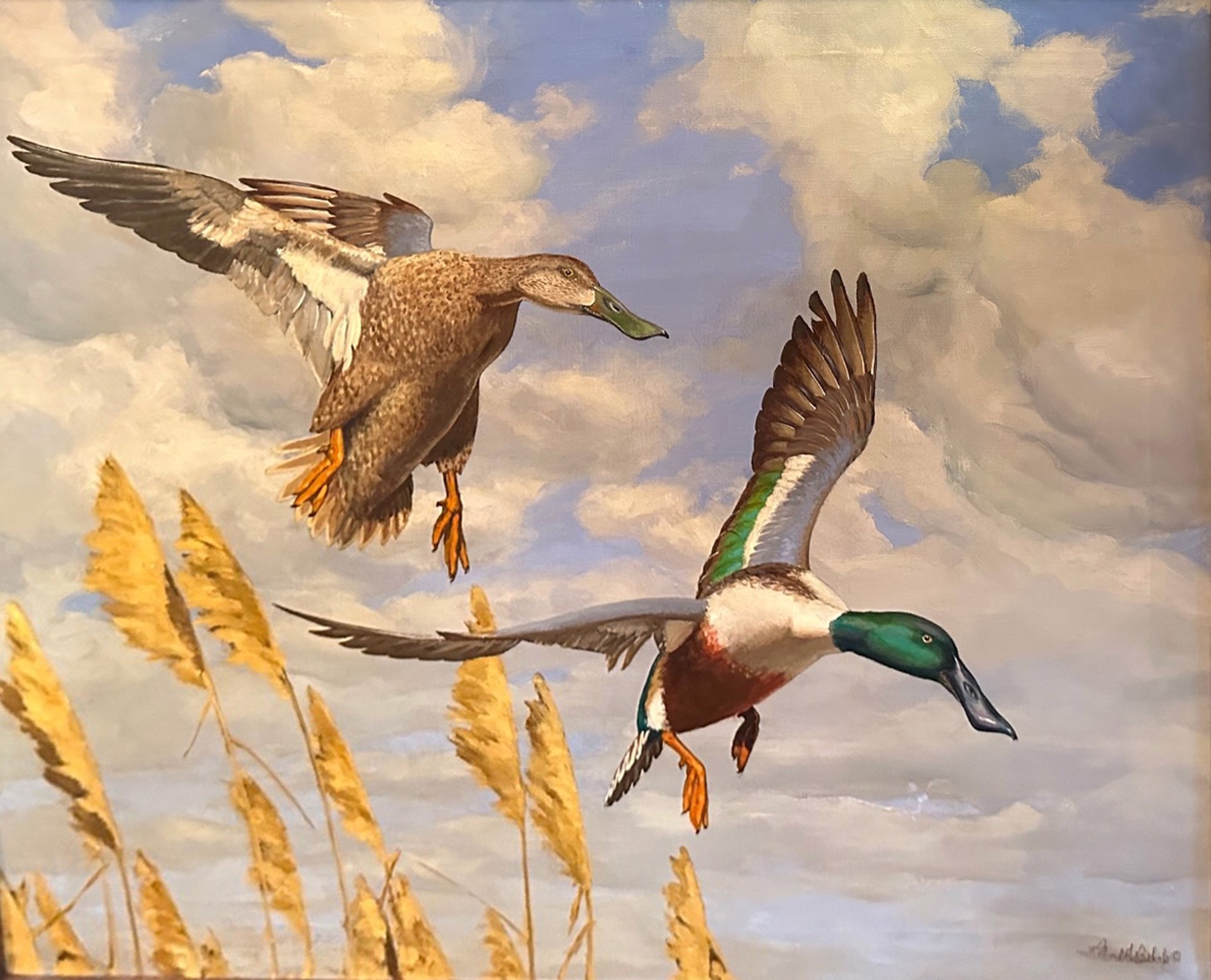 Shovelers Dropping In by Richard Evett Bishop