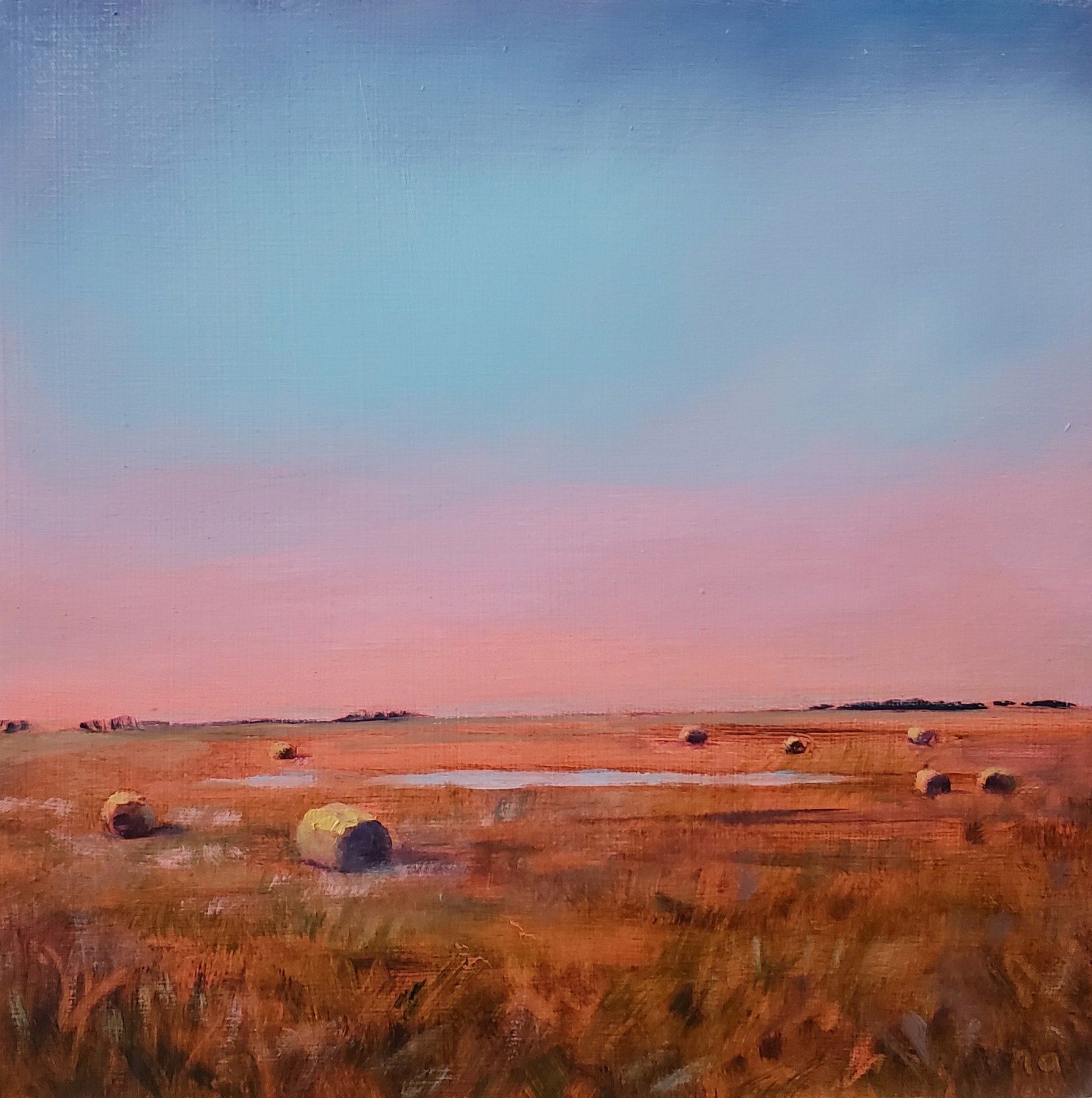 Morning Blush by Nicki Ault
