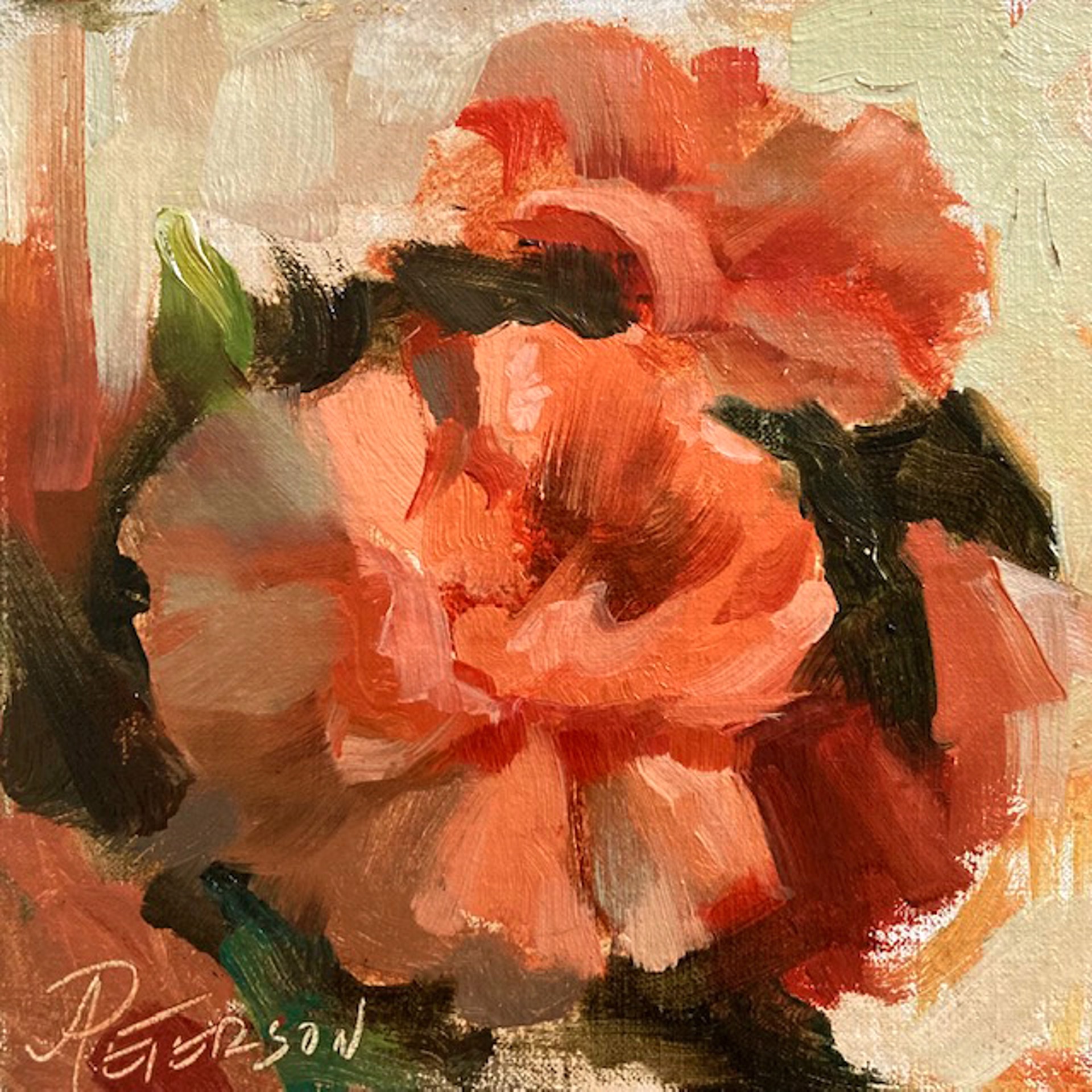 Stop and Paint the Roses by Amy R. Peterson