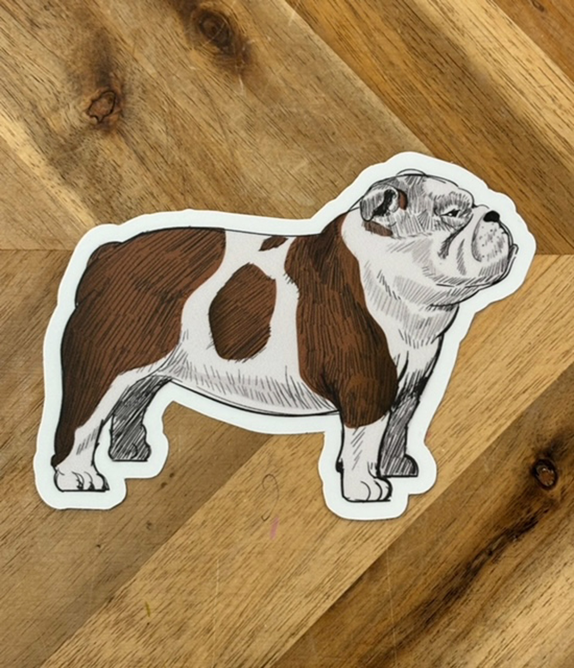 Bulldog Sticker by Pacesetter Merchandise