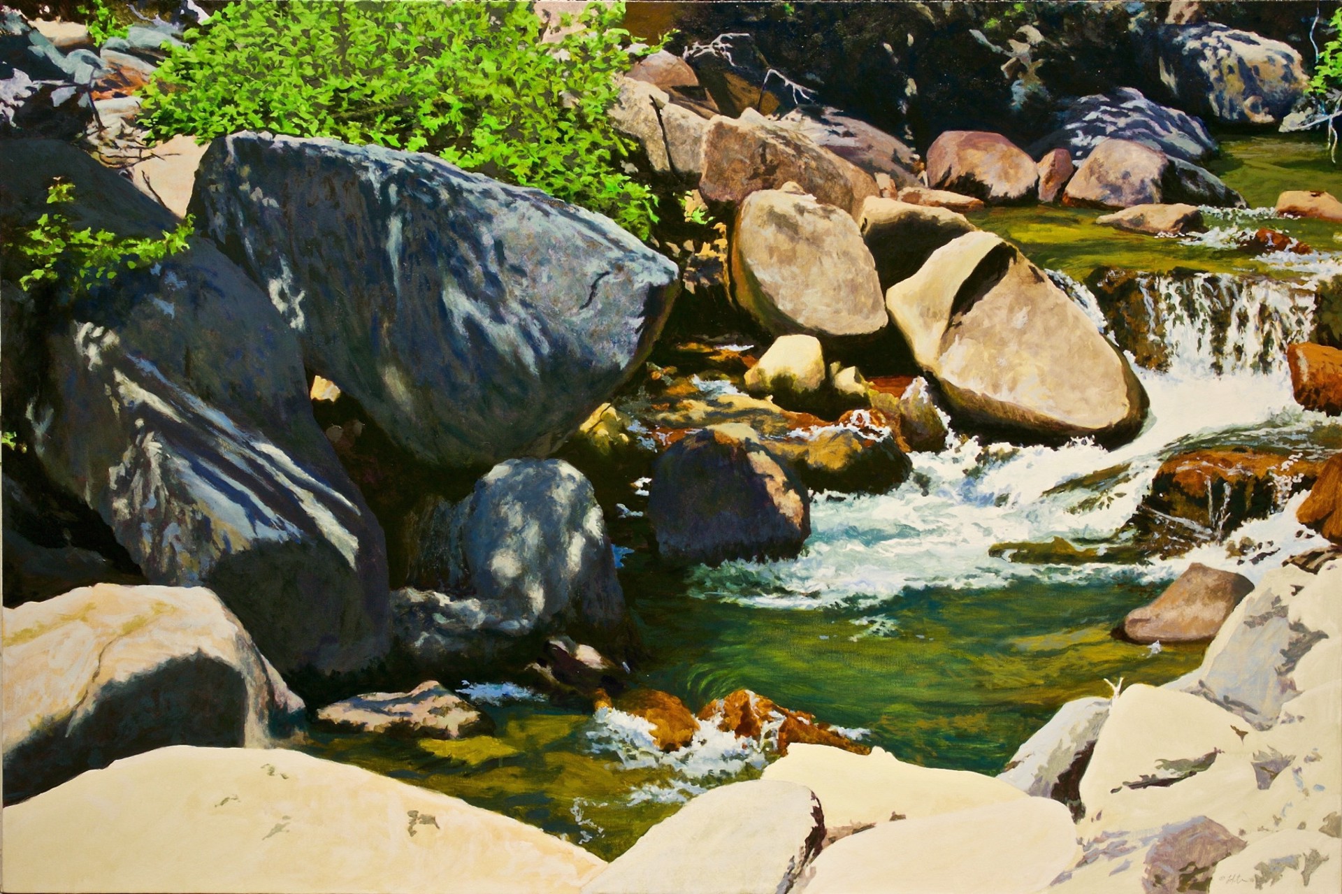 Rapids on the Carson by Peter Loftus