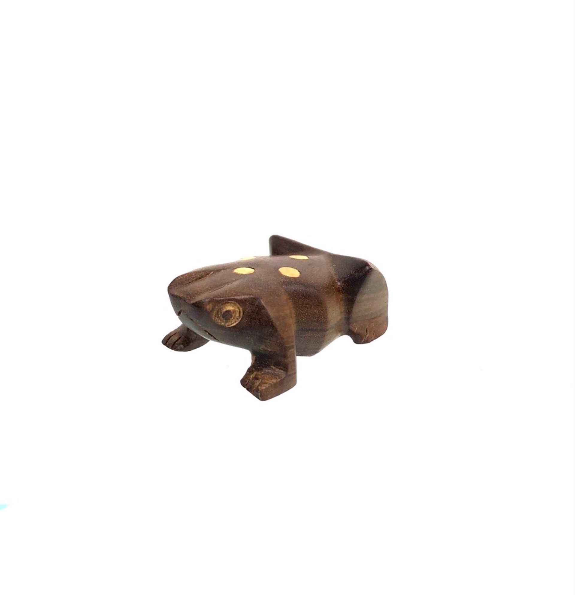 Small Frog by Steven G. Febres-Cordero