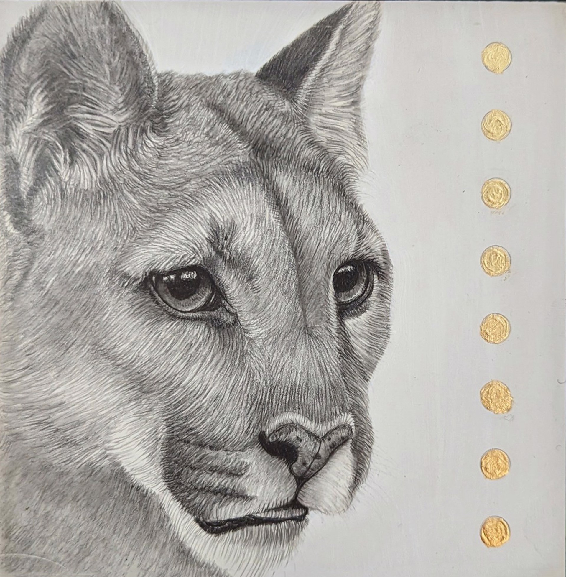 Cougar by Tammy Liu-Haller