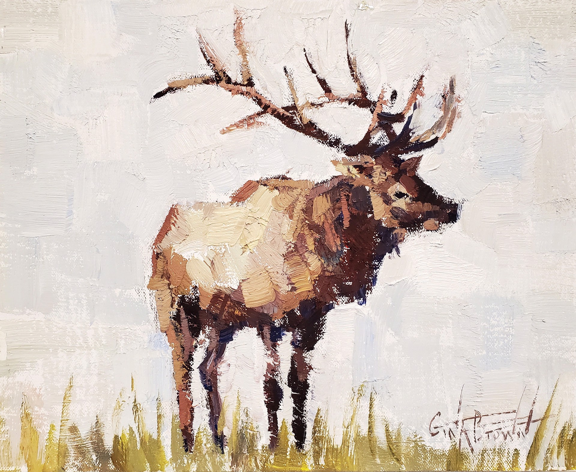 Elk by Gina Brown