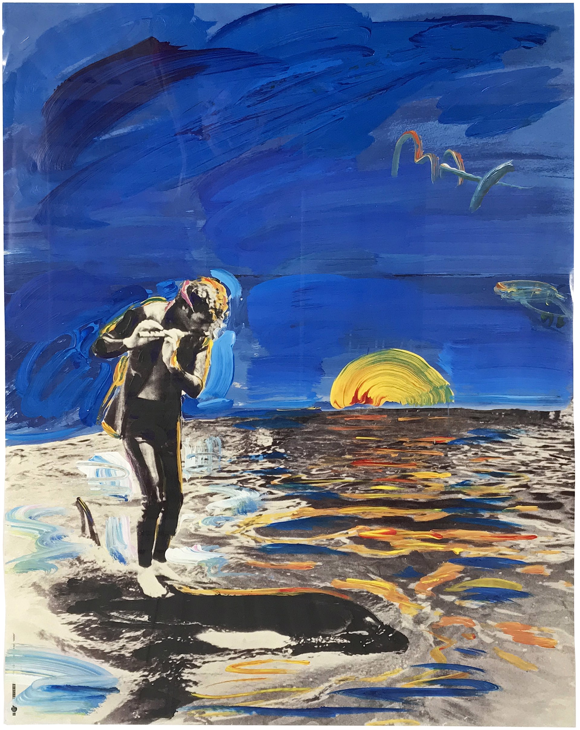 The Dolphin Project by Peter Max
