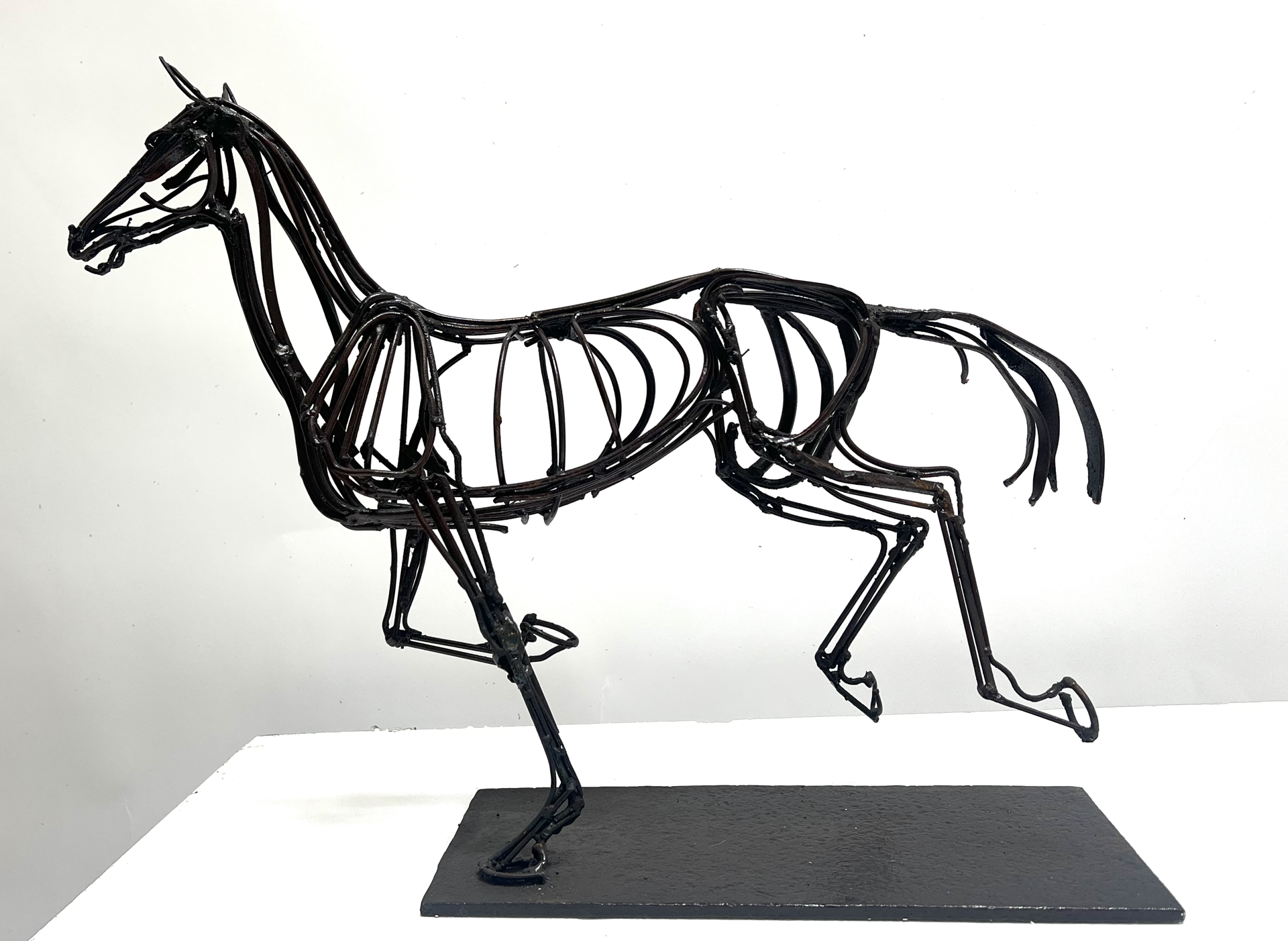 Muybridge Small Galloping Horse by Wendy Klemperer