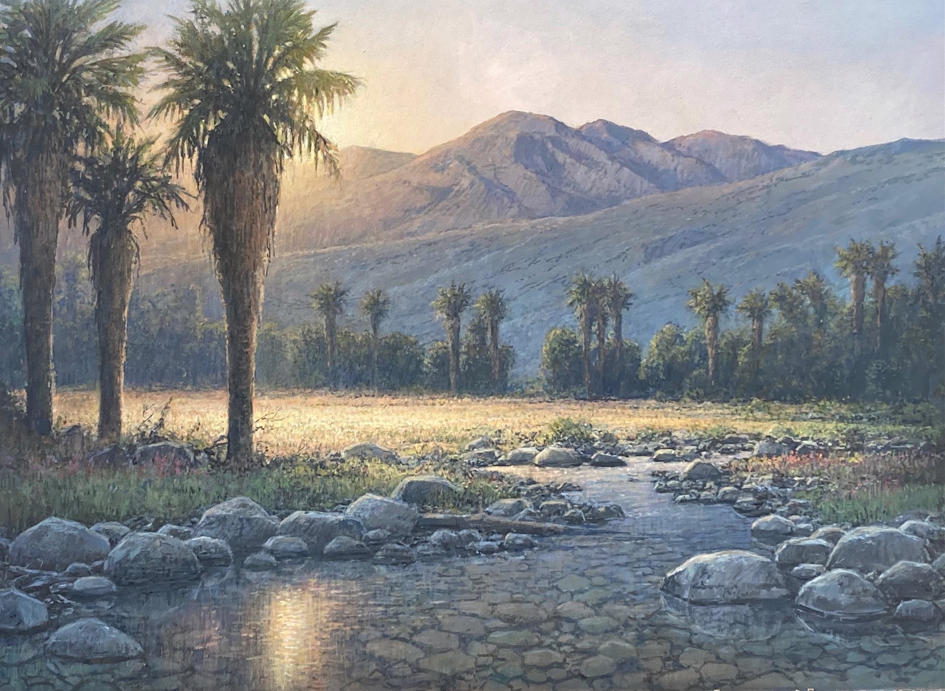 Desert Springs by John Paul Braman