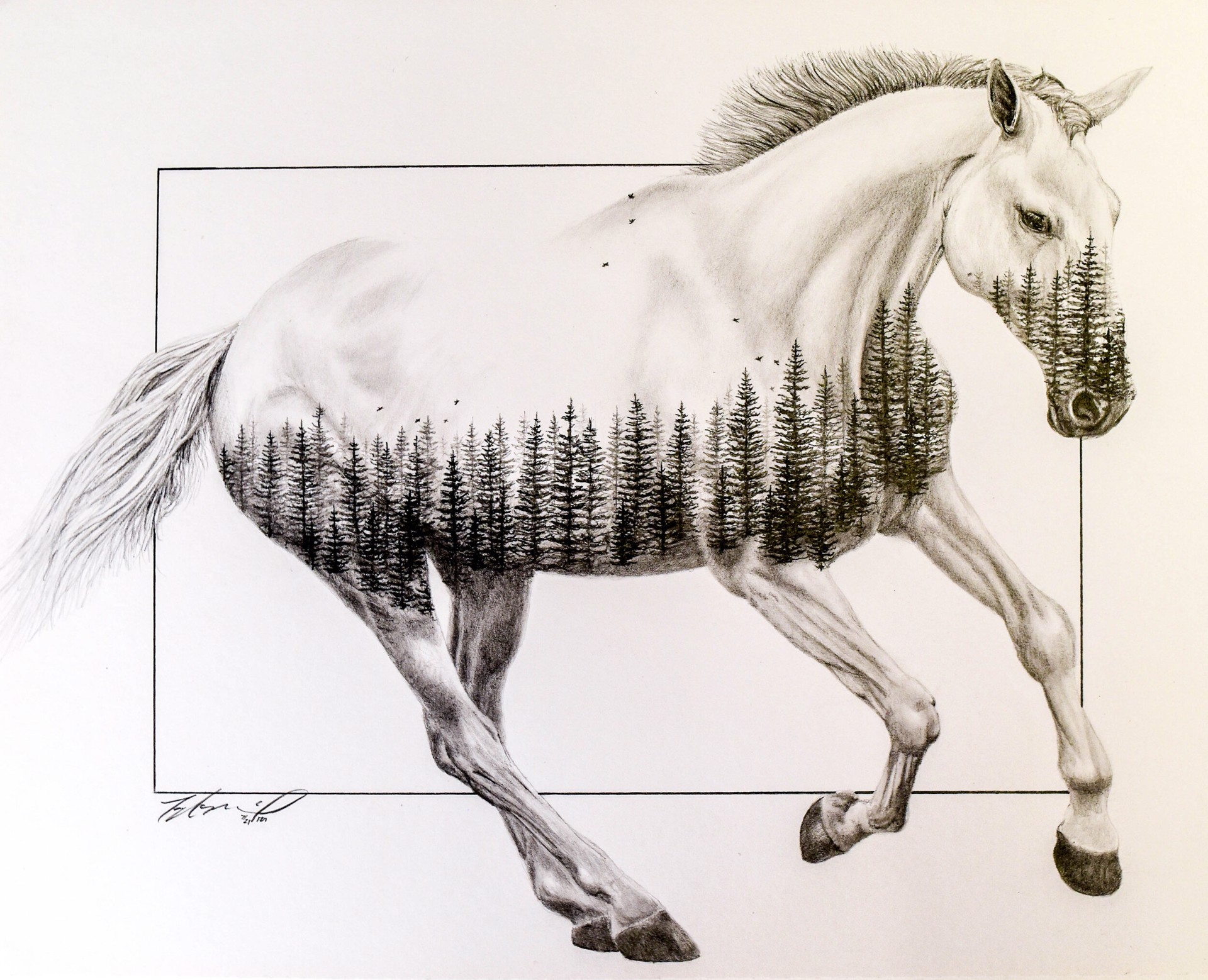 Horse and Nature #1 by Taylor McGill