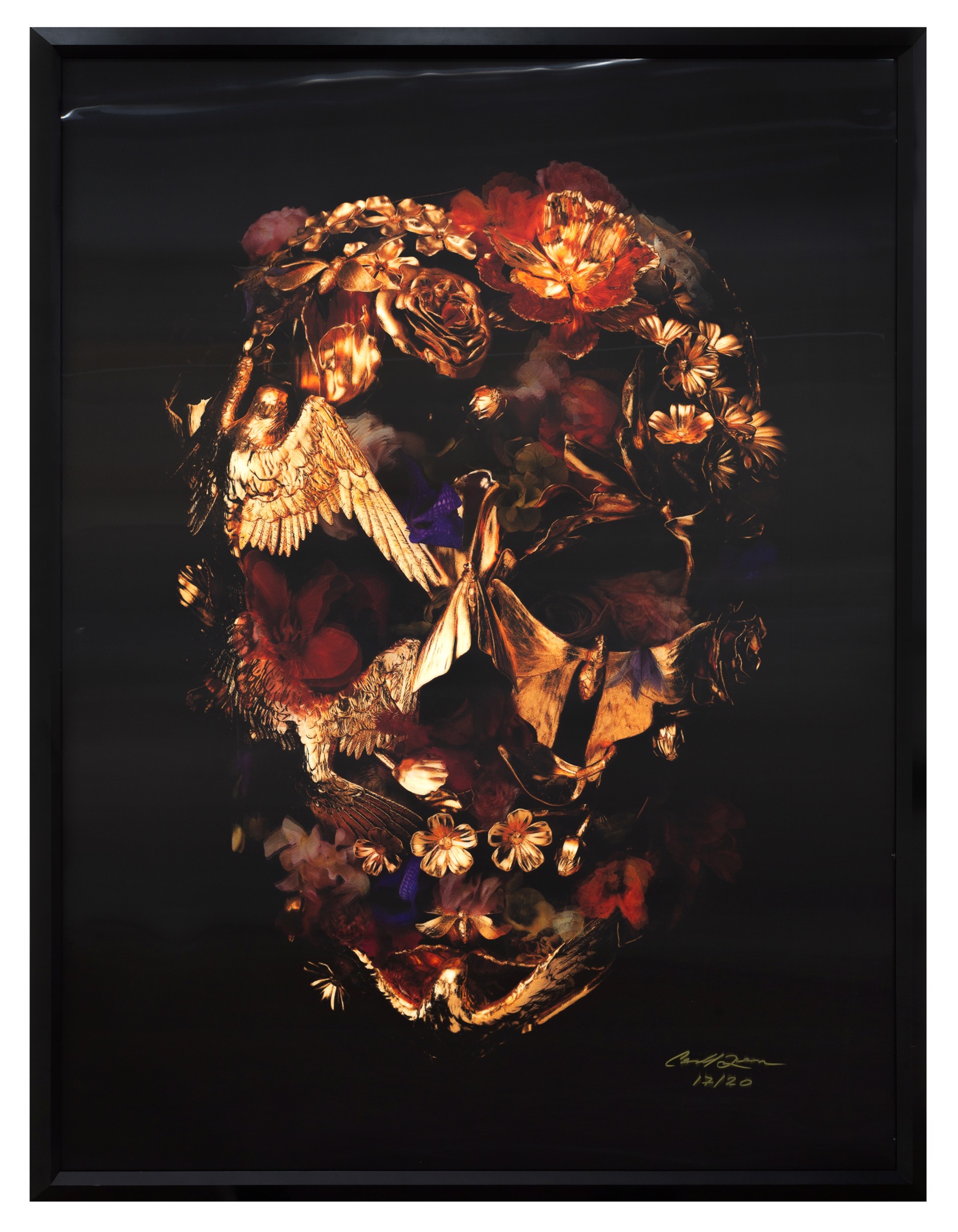 The Vanitas Skull by Gary James McQueen