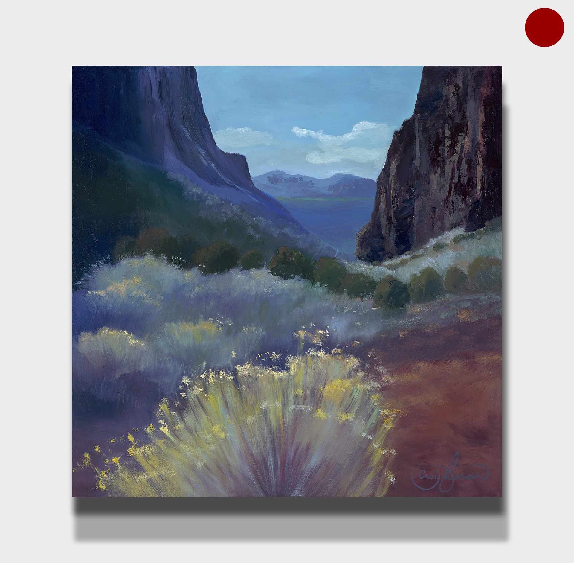 Desert Bloom by Craig Freeman