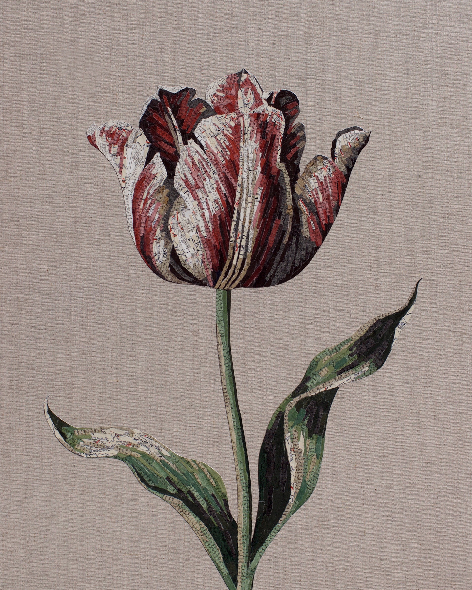 Inspire (Tulip) by Jay Kelly