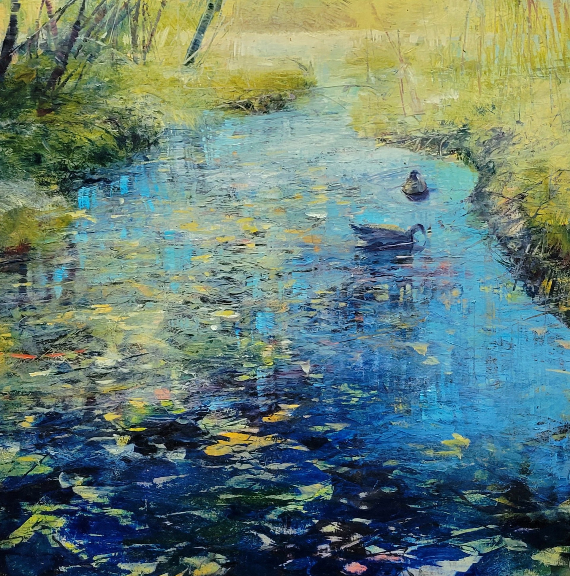 Spring Ducks by David Dunlop