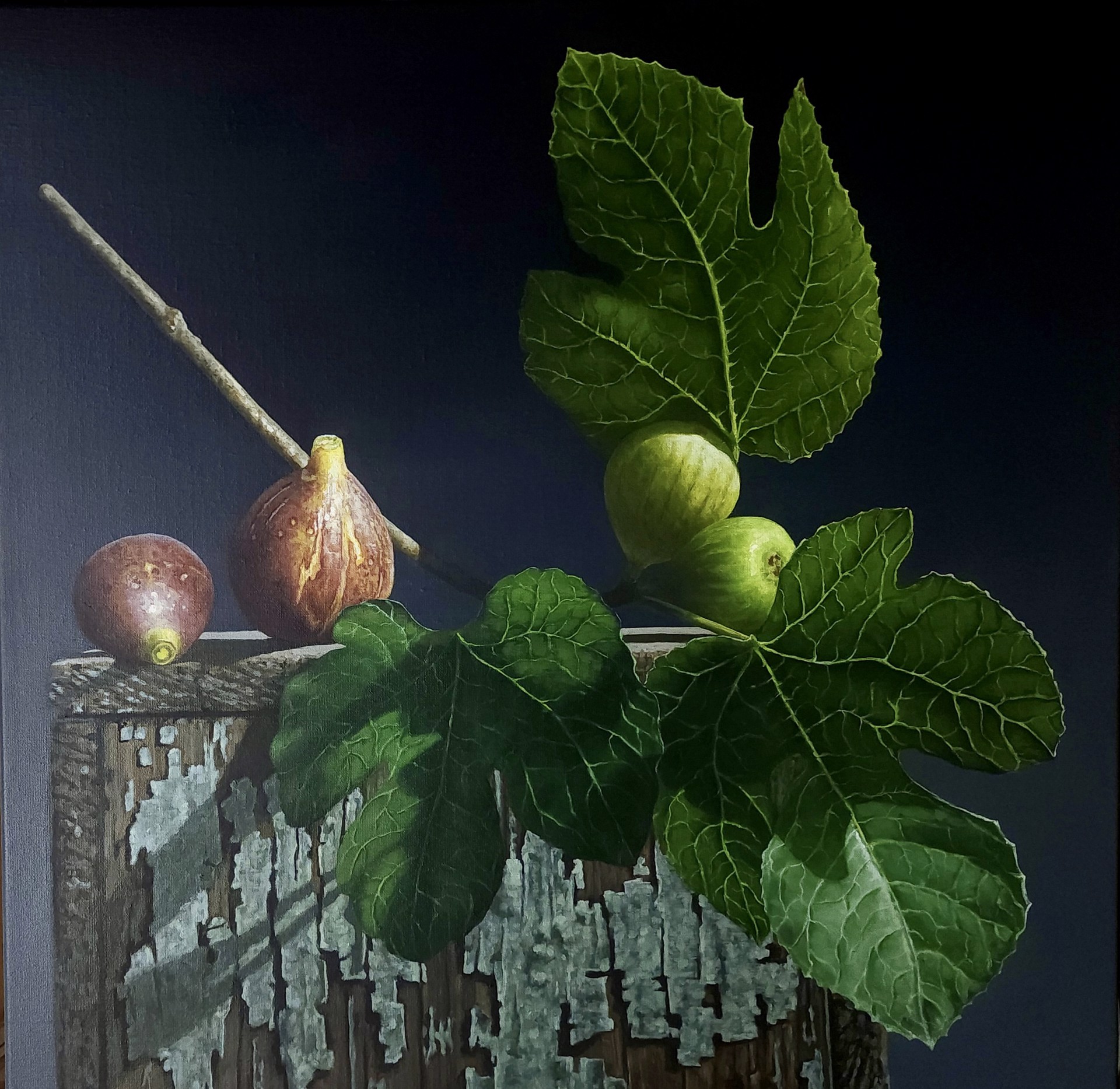 Evening Figs by Loren DiBenedetto, OPA