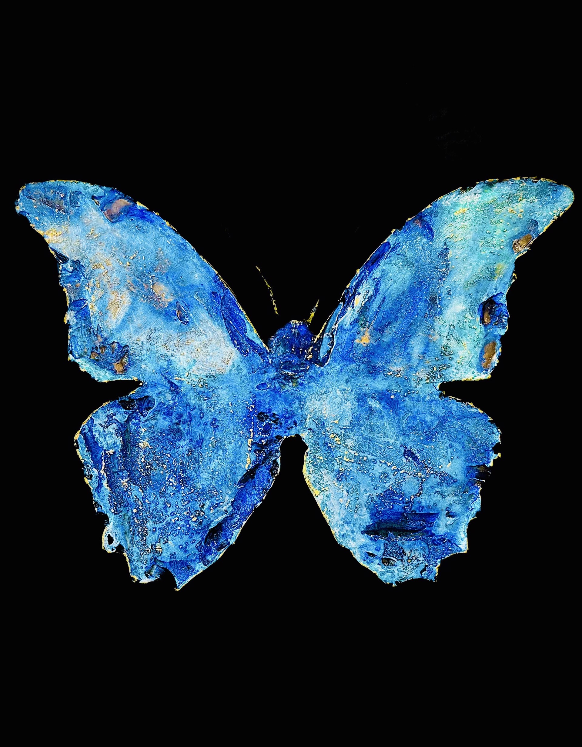 Morpho Menelaus I by Meredith Pardue