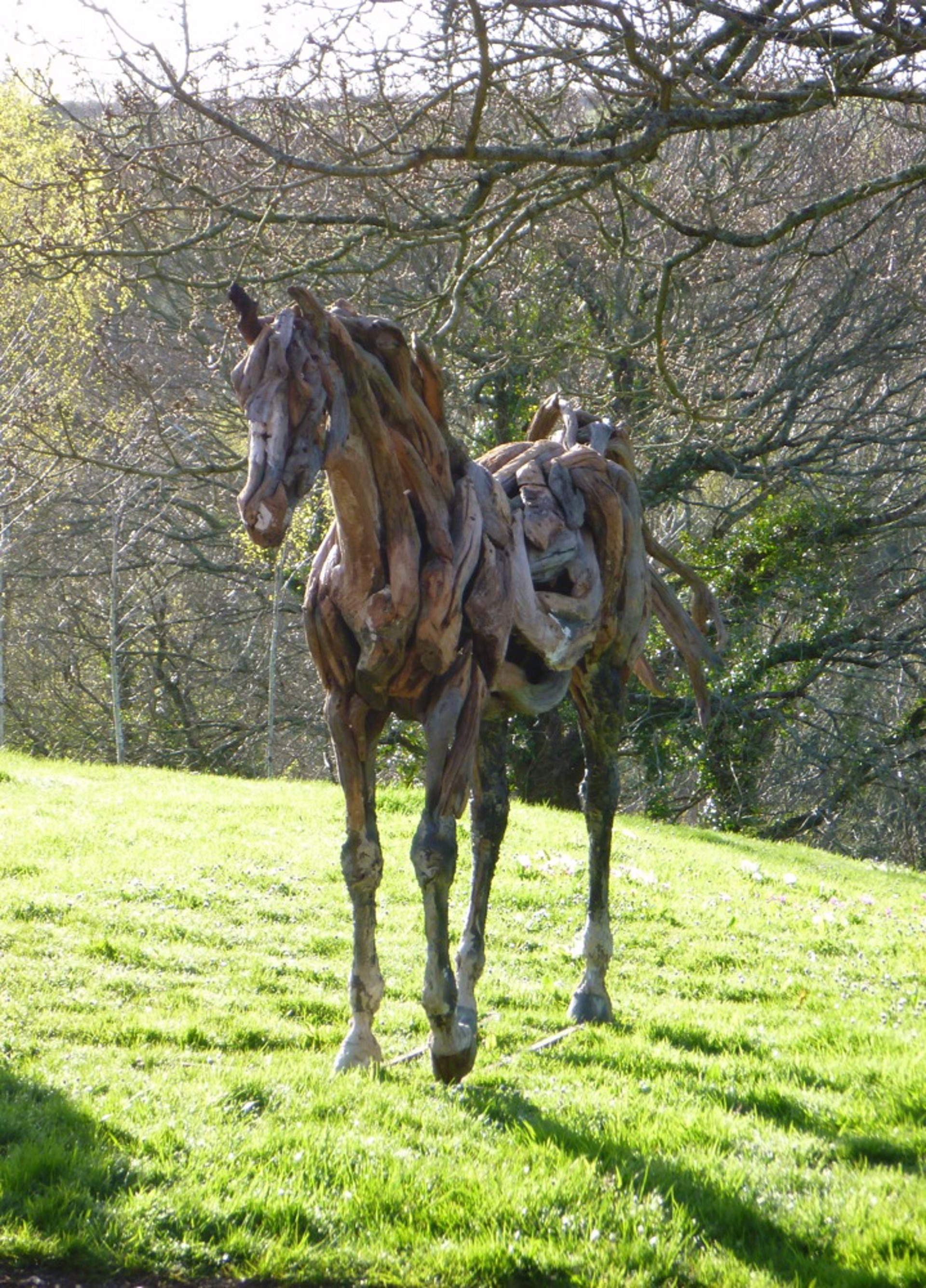 Young Arabian by Heather Jansch