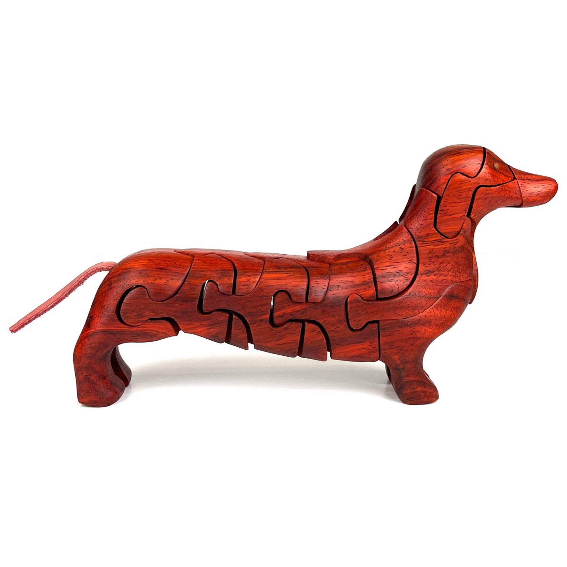 Dachshund with Bone Inside by Peter Chapman