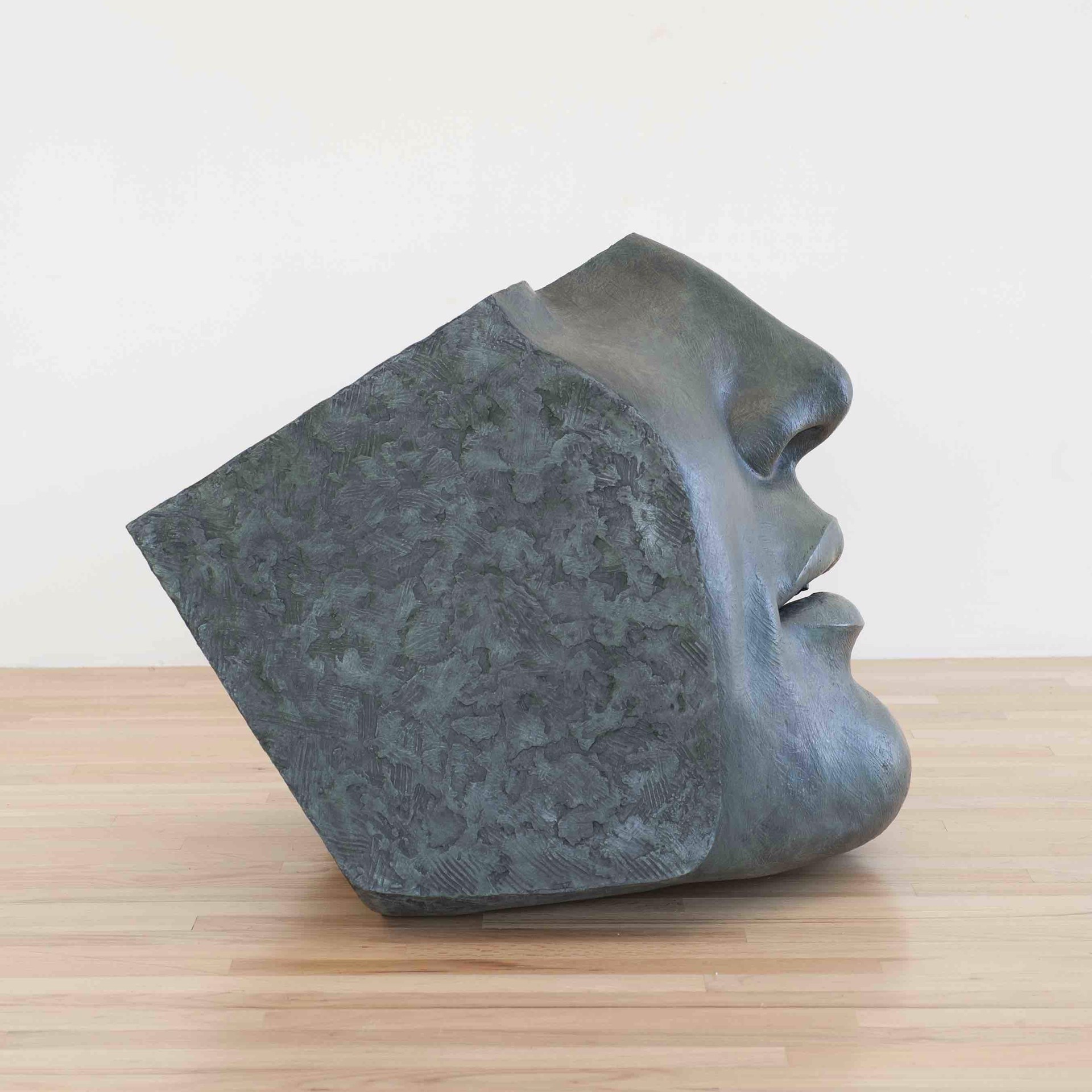 Large Face Fragment V ed 5/12 by Susan Stamm Evans