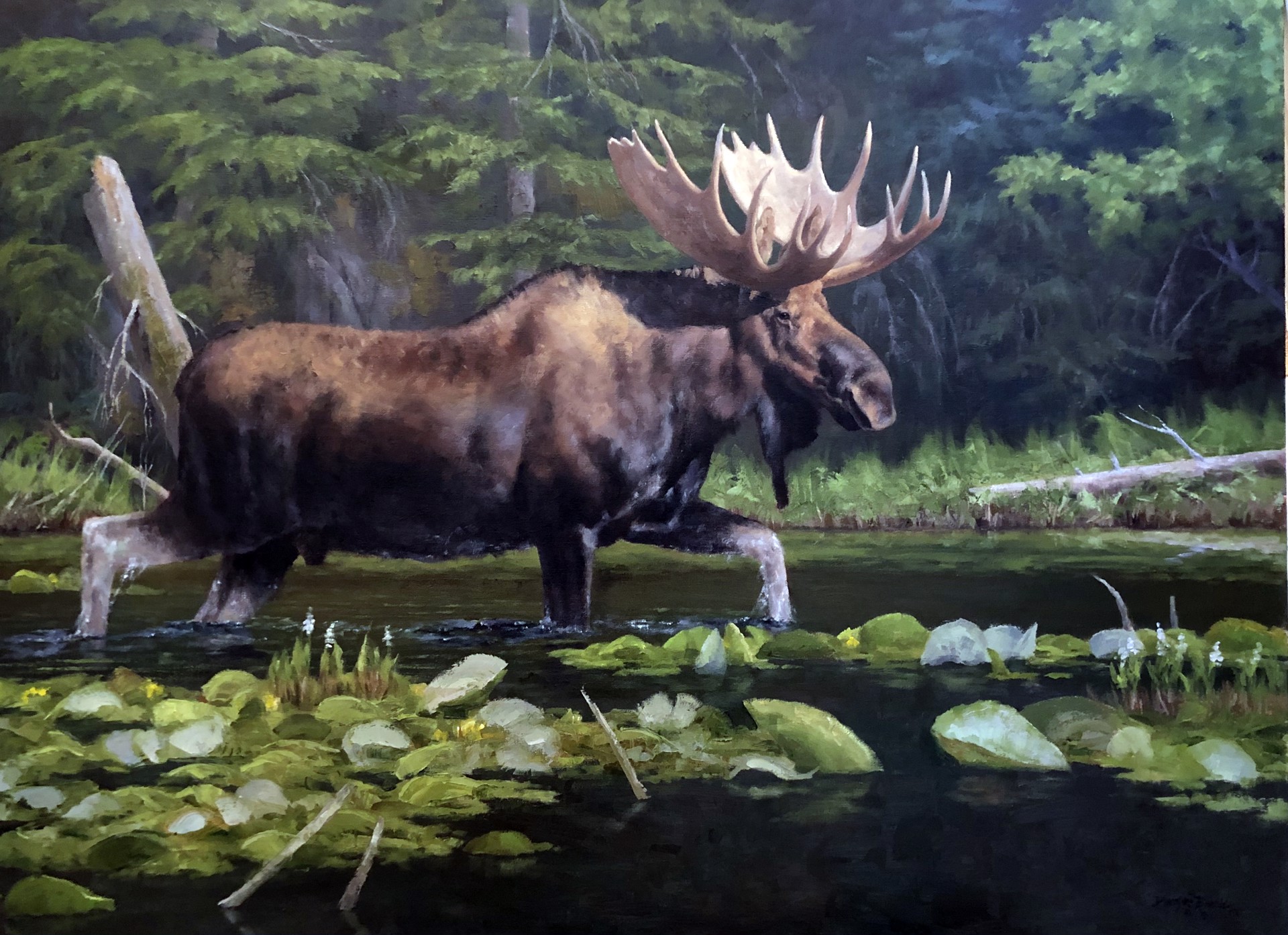 Alaskan Bush by Dwayne Brech