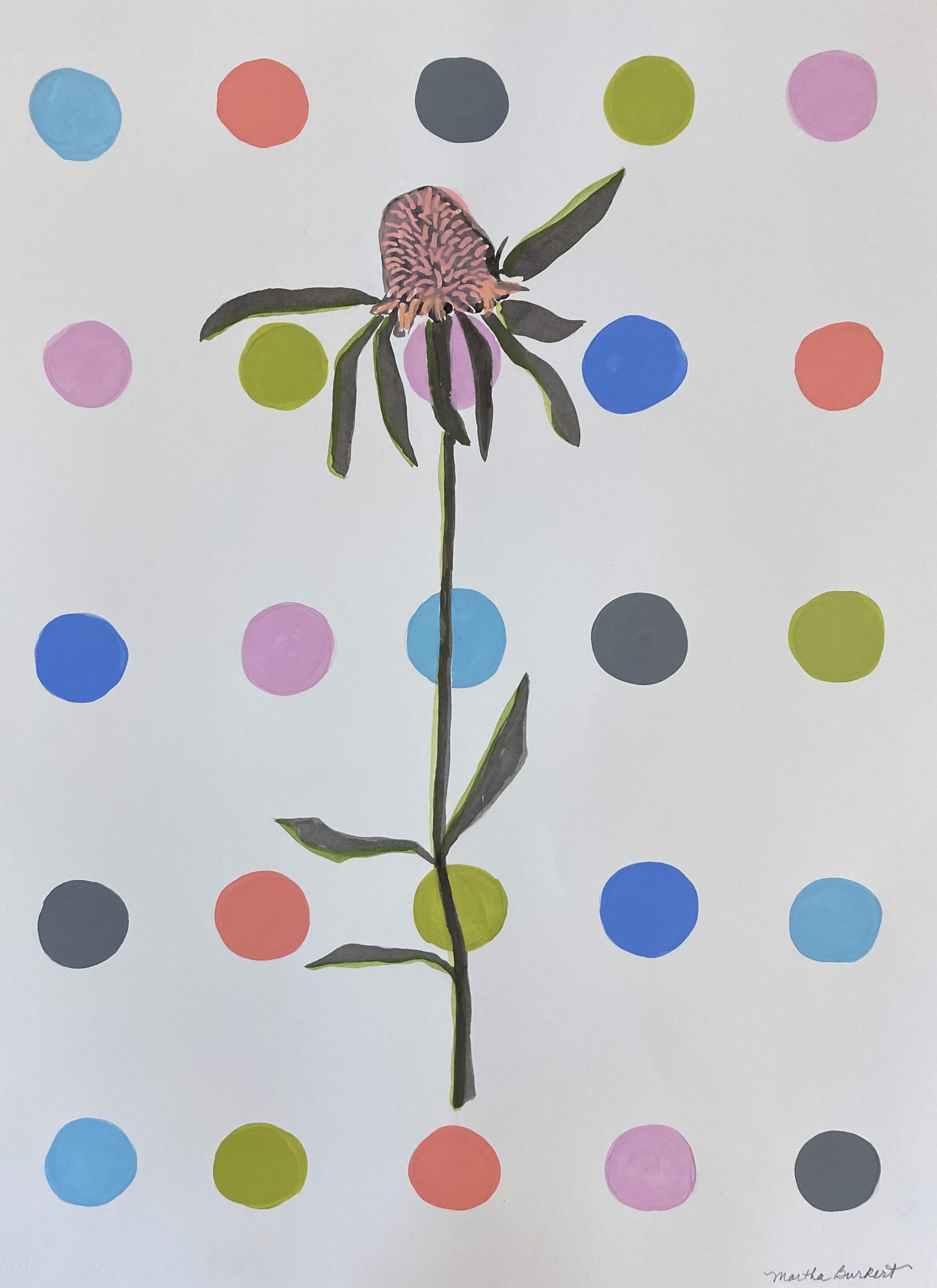 Dotted Coneflower 1 by Martha Burkert
