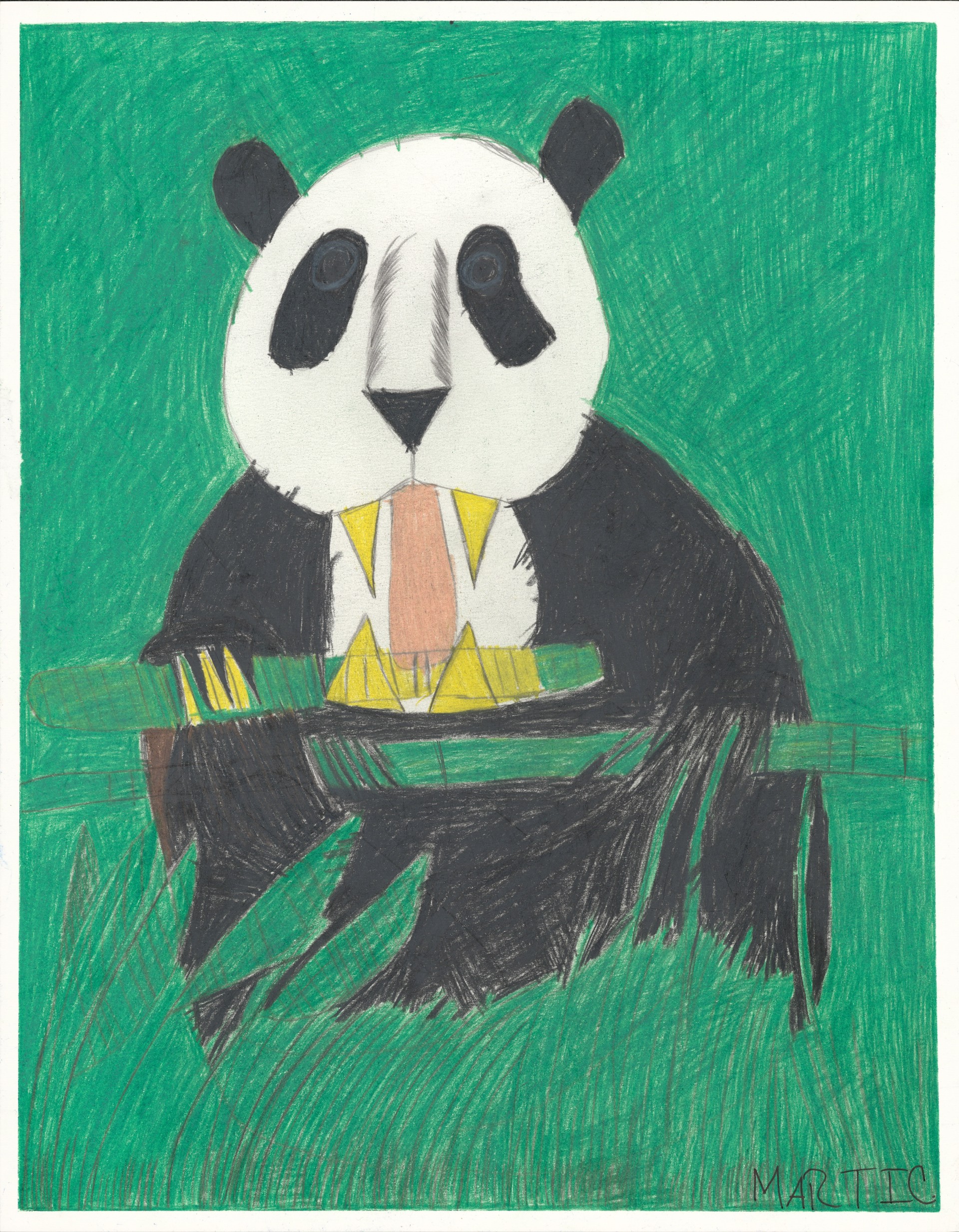 Giant Panda by Marti Clark
