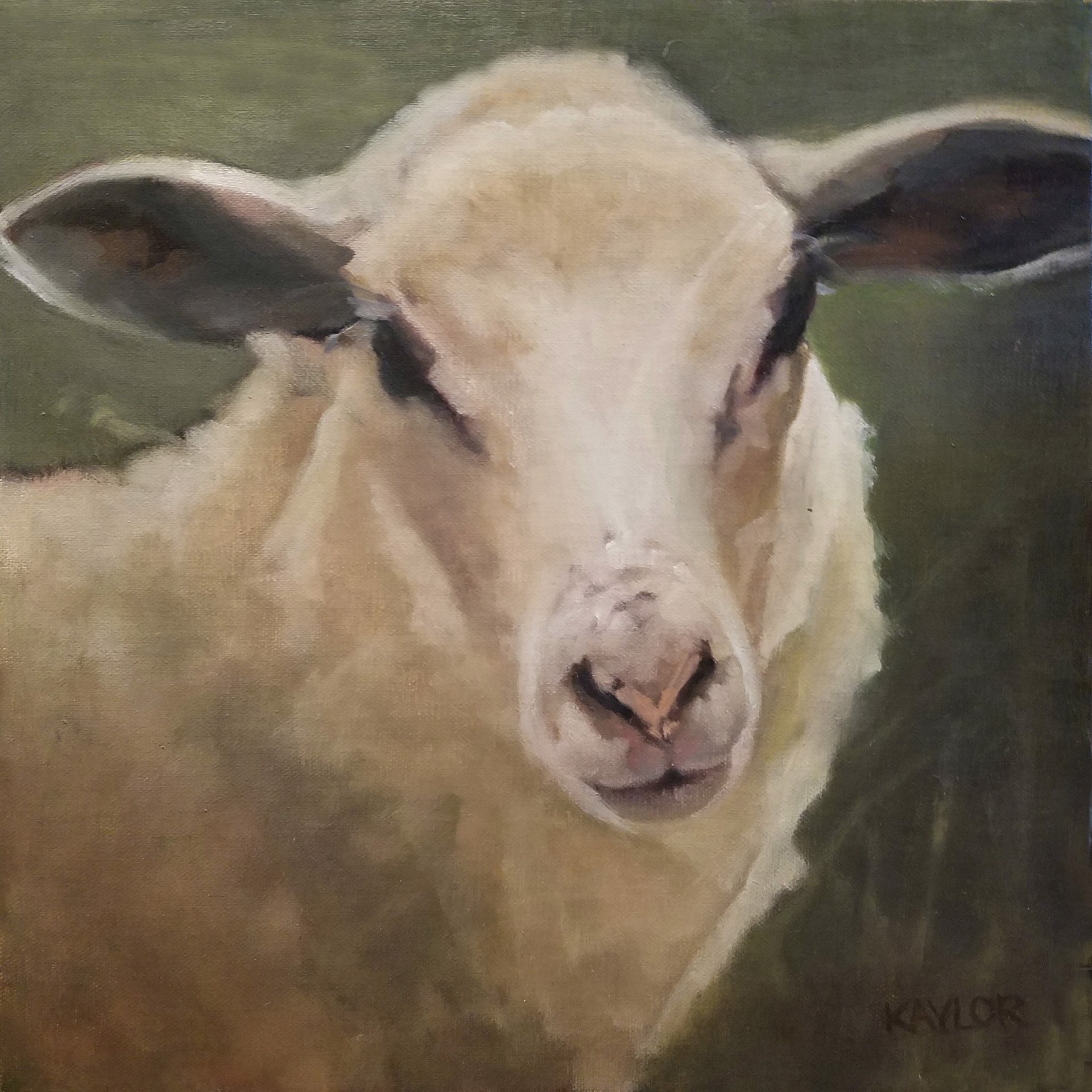 Portrait of a Lamb by Deb Kaylor