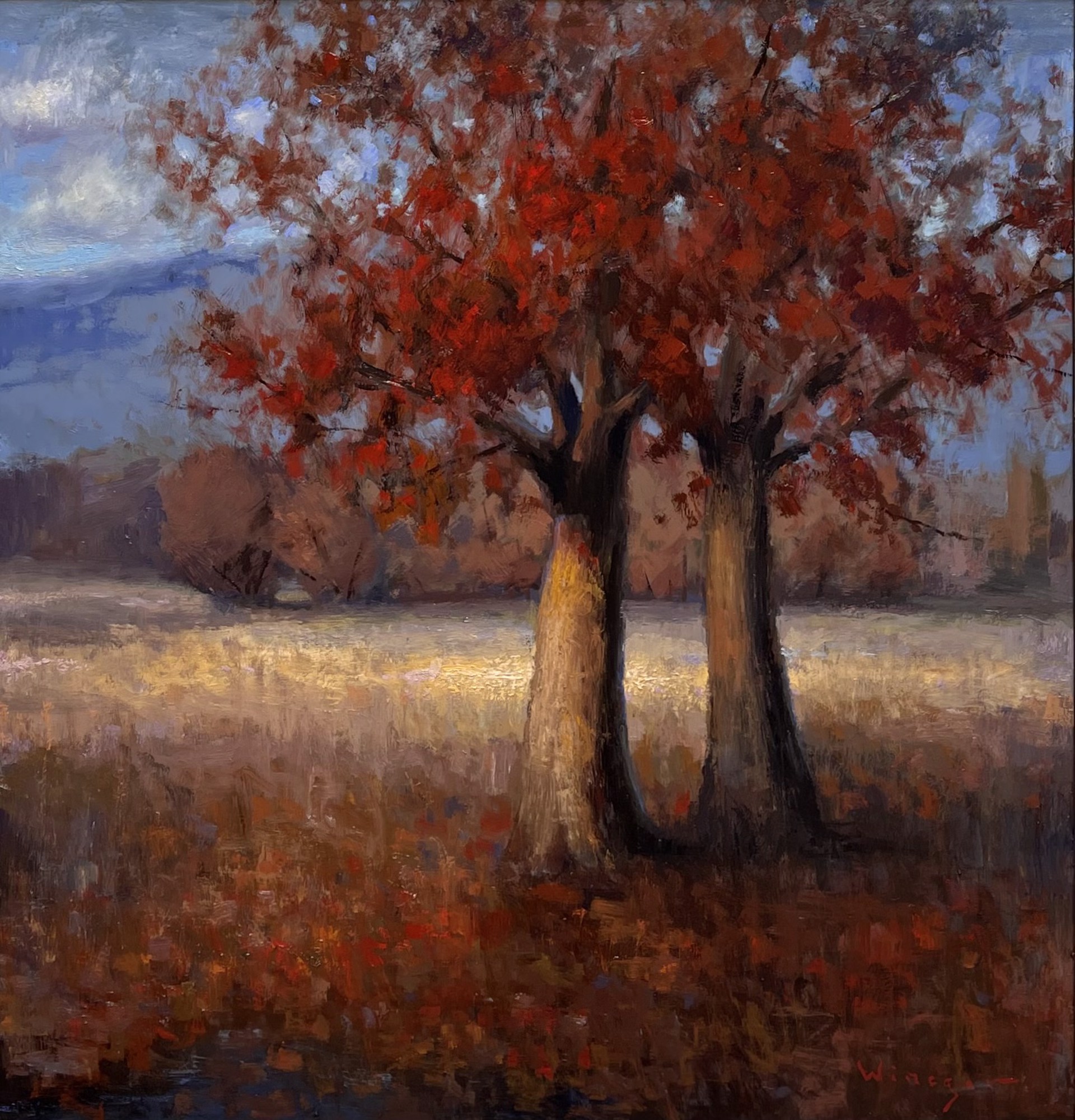 Life Transitions of Fall by Seth Winegar