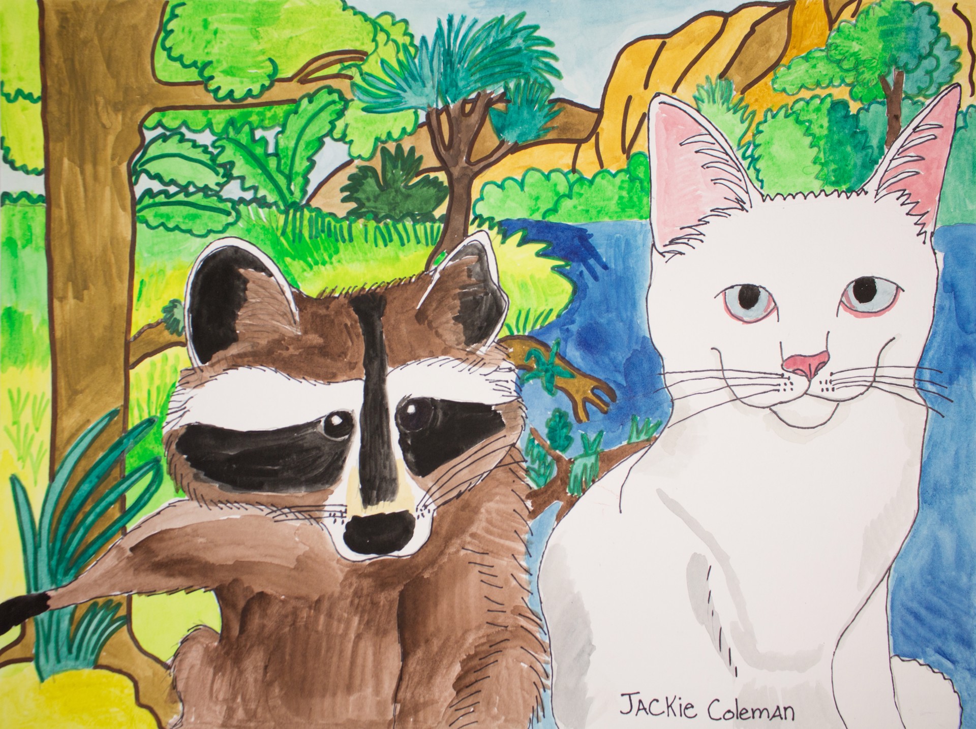 Raccoon and Cat (FRAMED) by Jacqueline Coleman