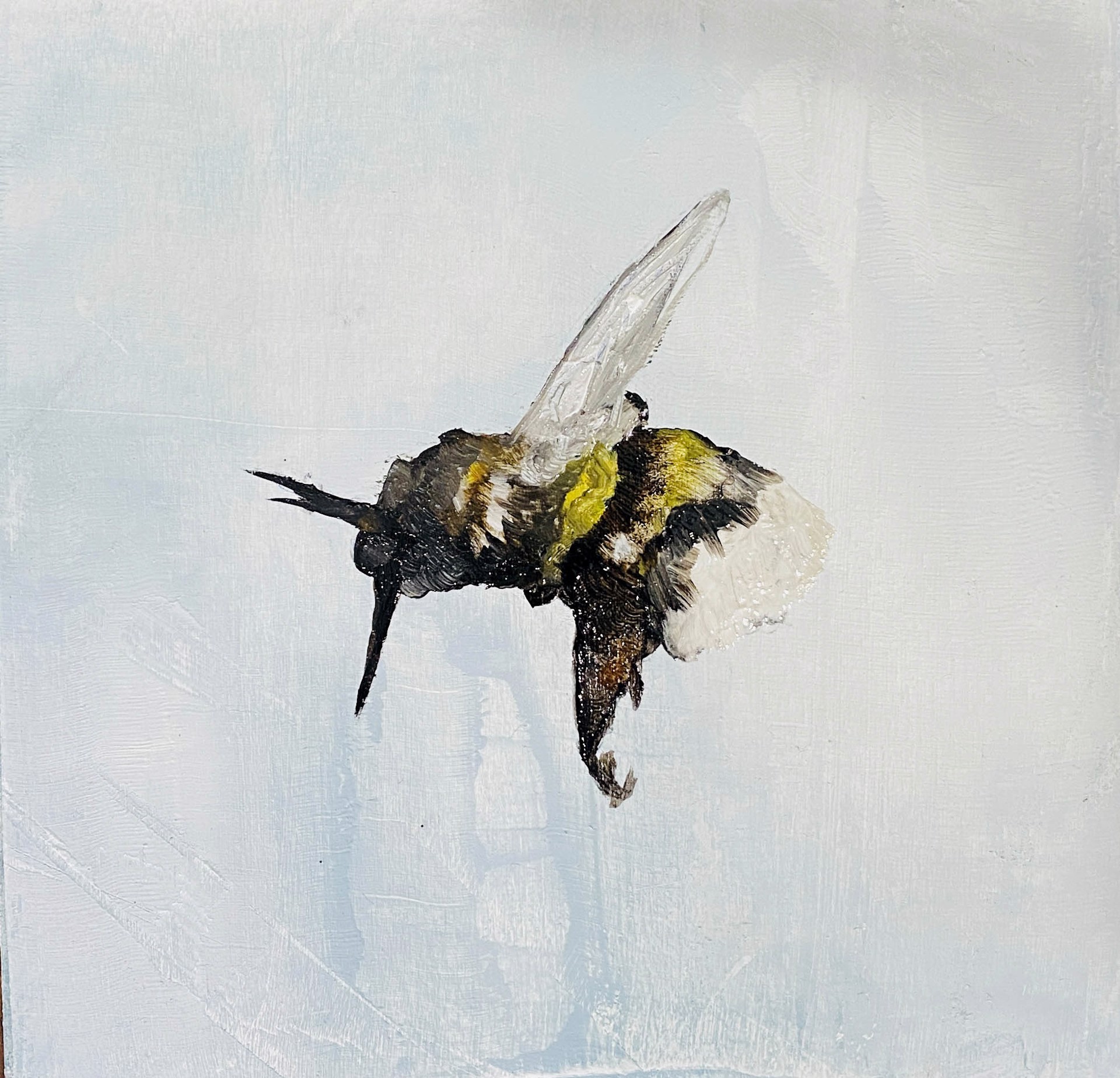 Original Oil Painting Featuring A Single Bumble Bee Over Abstract Blue Background
