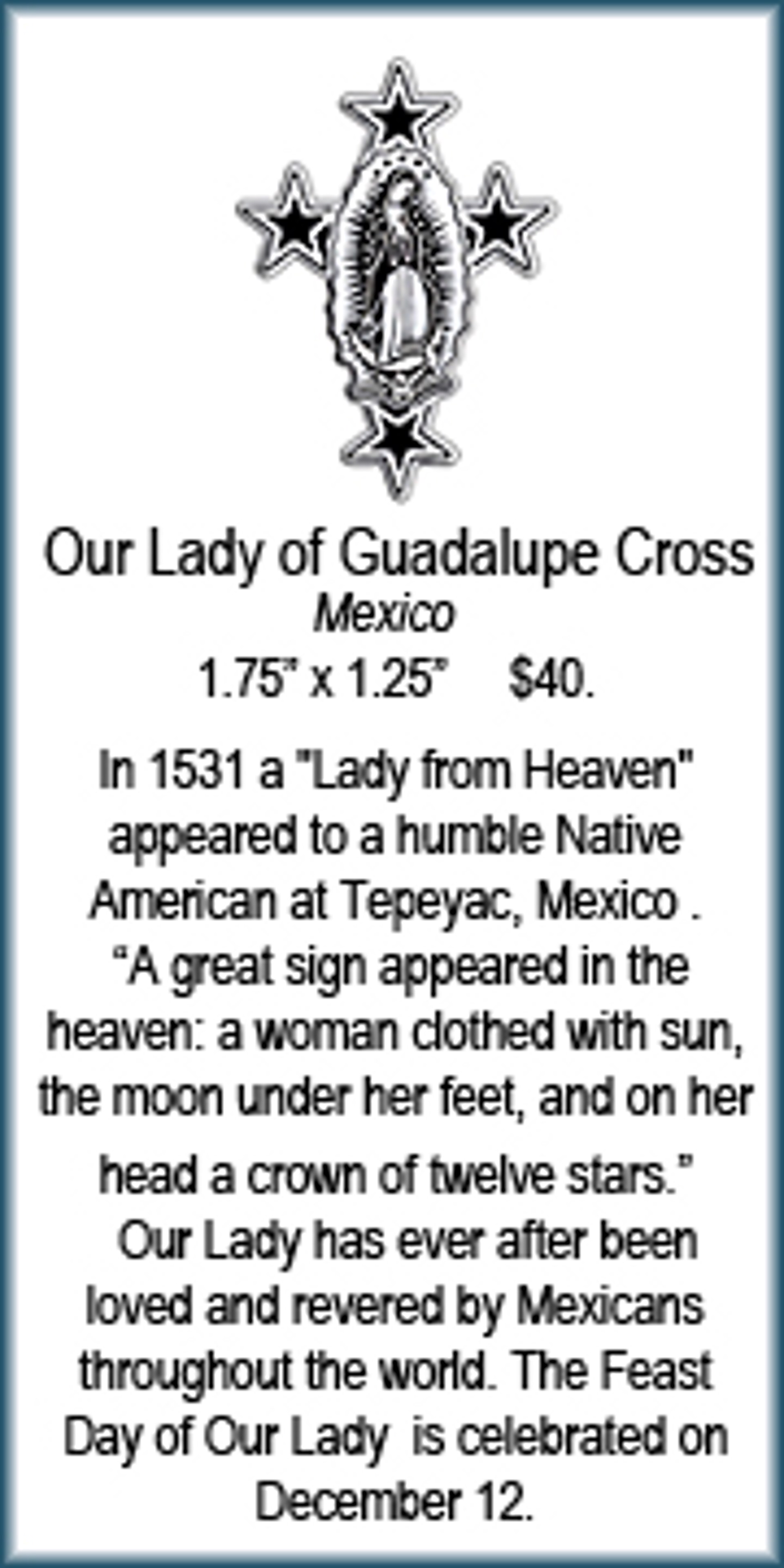 Cross - Our Lady of Guadalupe 9539 by Deanne McKeown