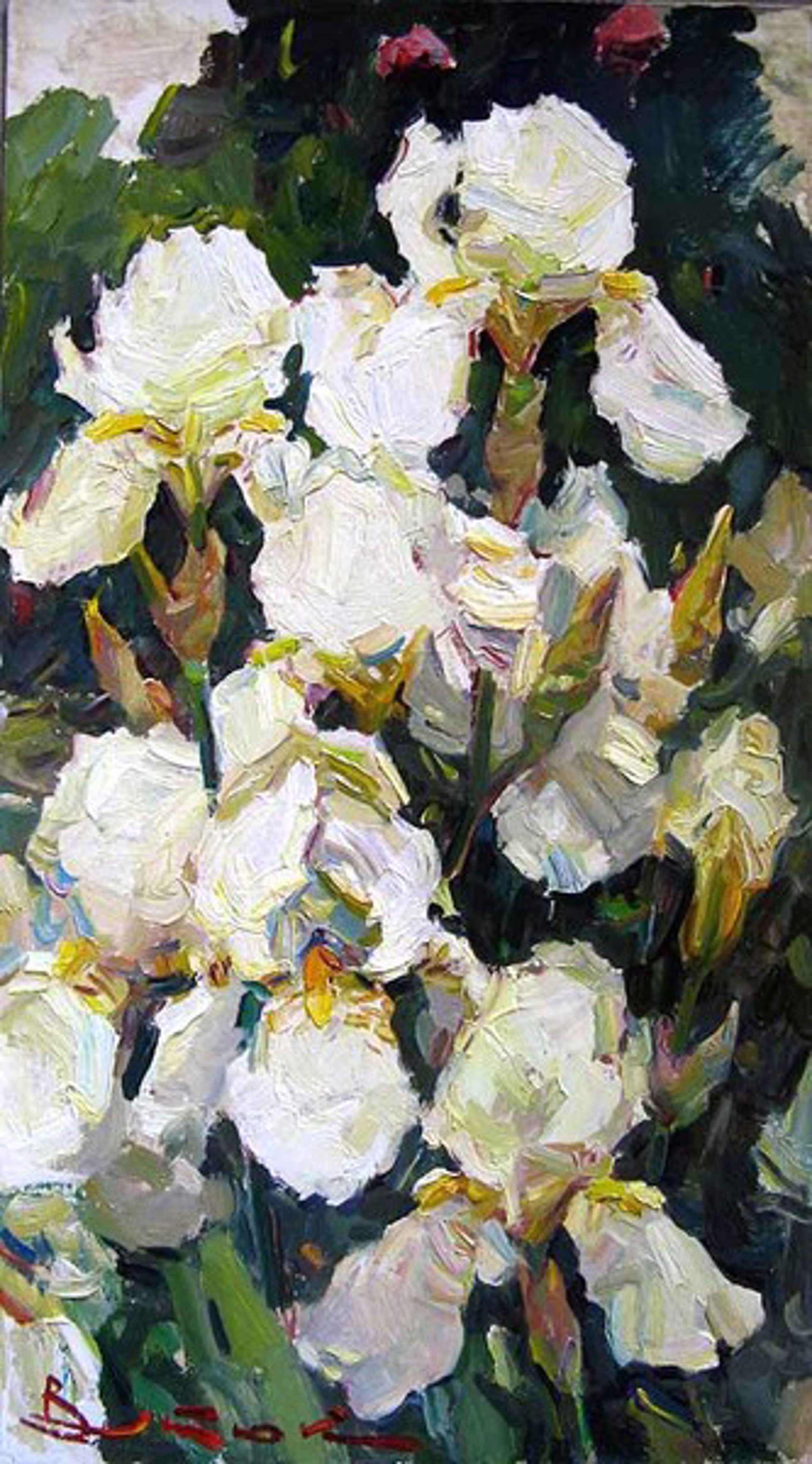 White Irises by Ivan Vityuk