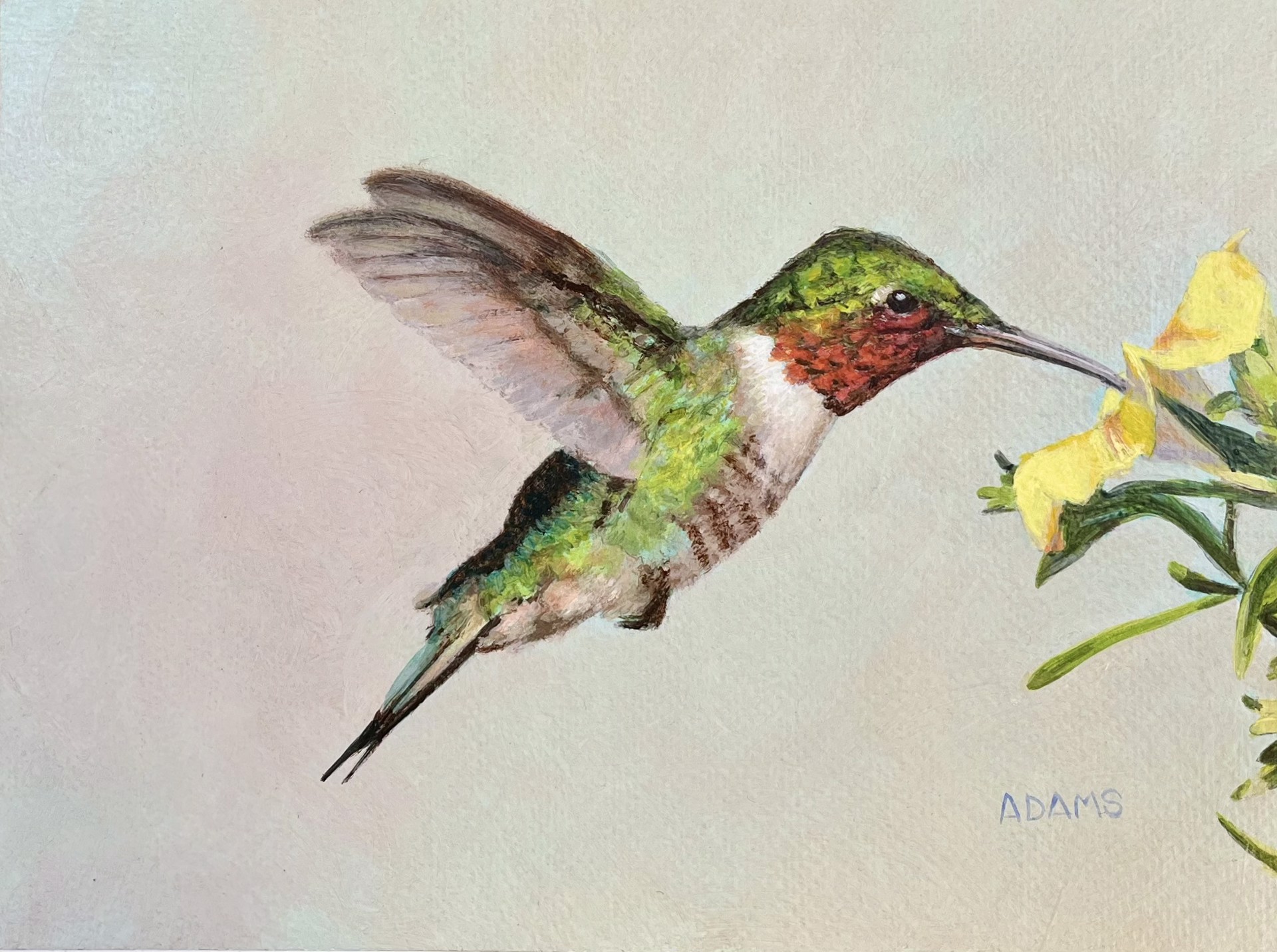 Hummingbird by Lauren Adams