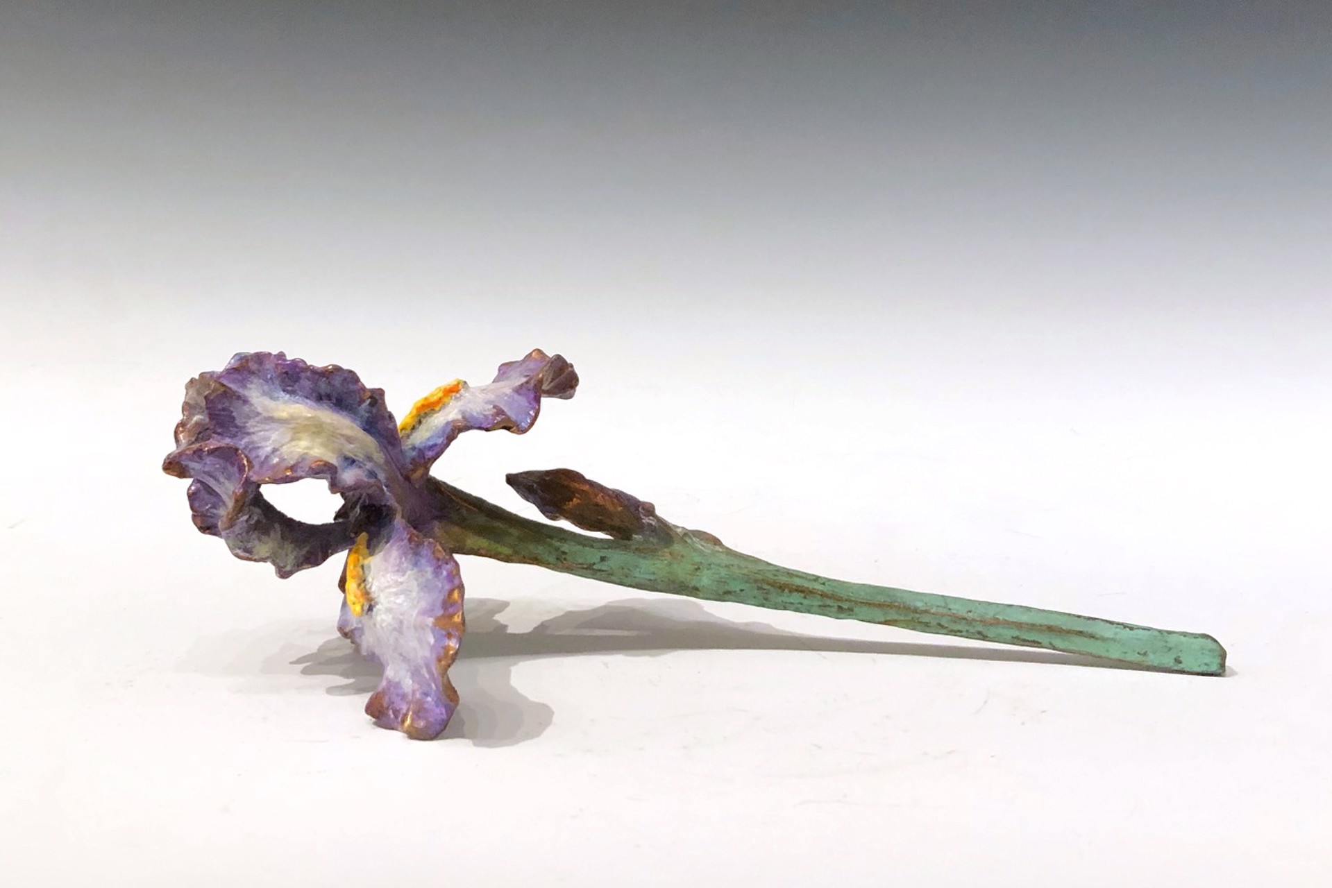 Large German Iris by Sharles