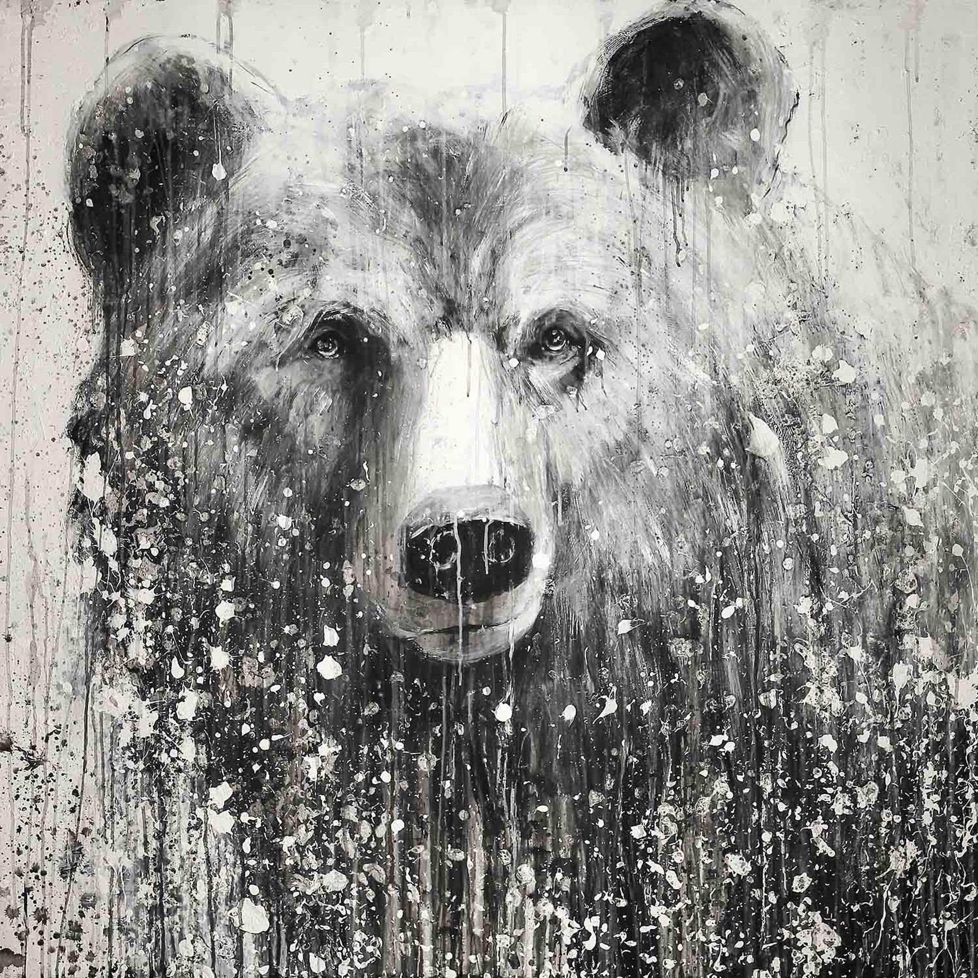 This One Bear by Matt Flint