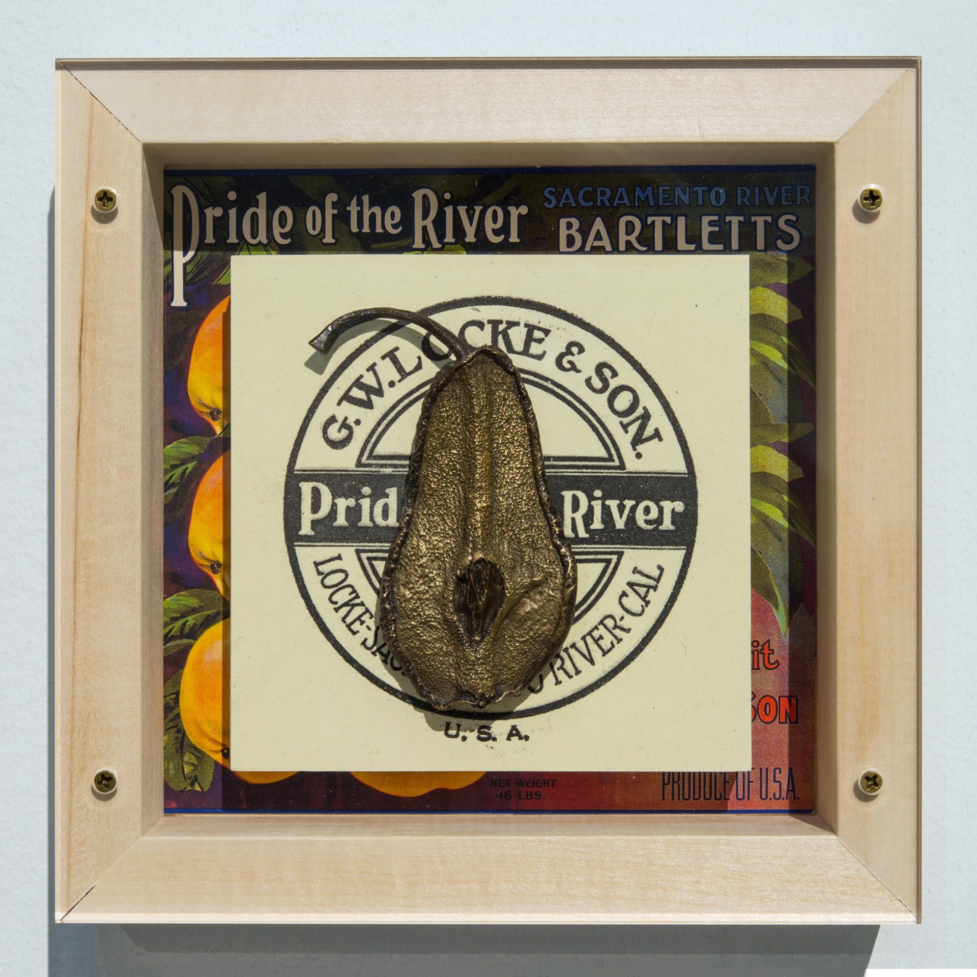 Pride of the River: Pursing the American Dream by MalPina Chan