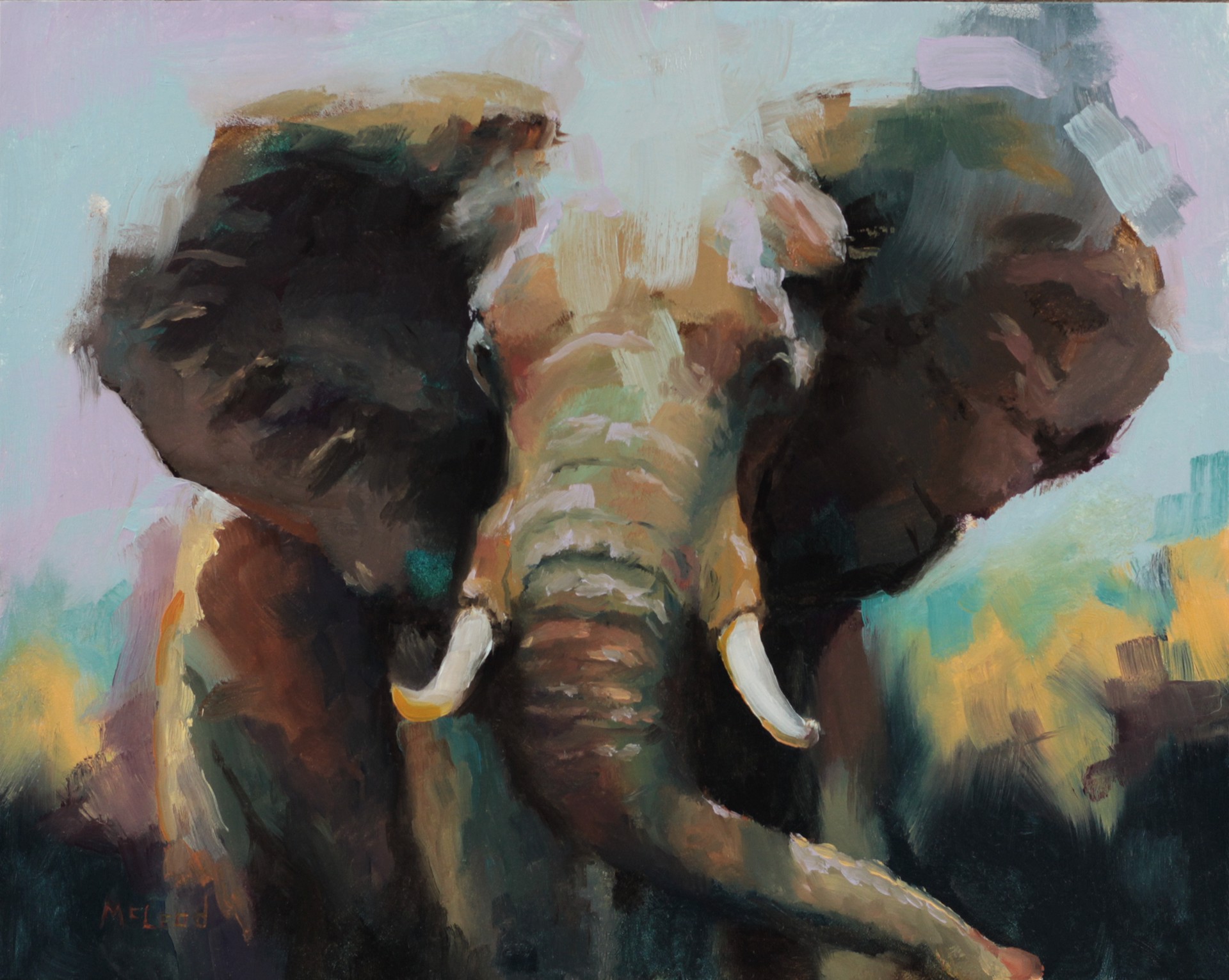 Elephant by John McLeod