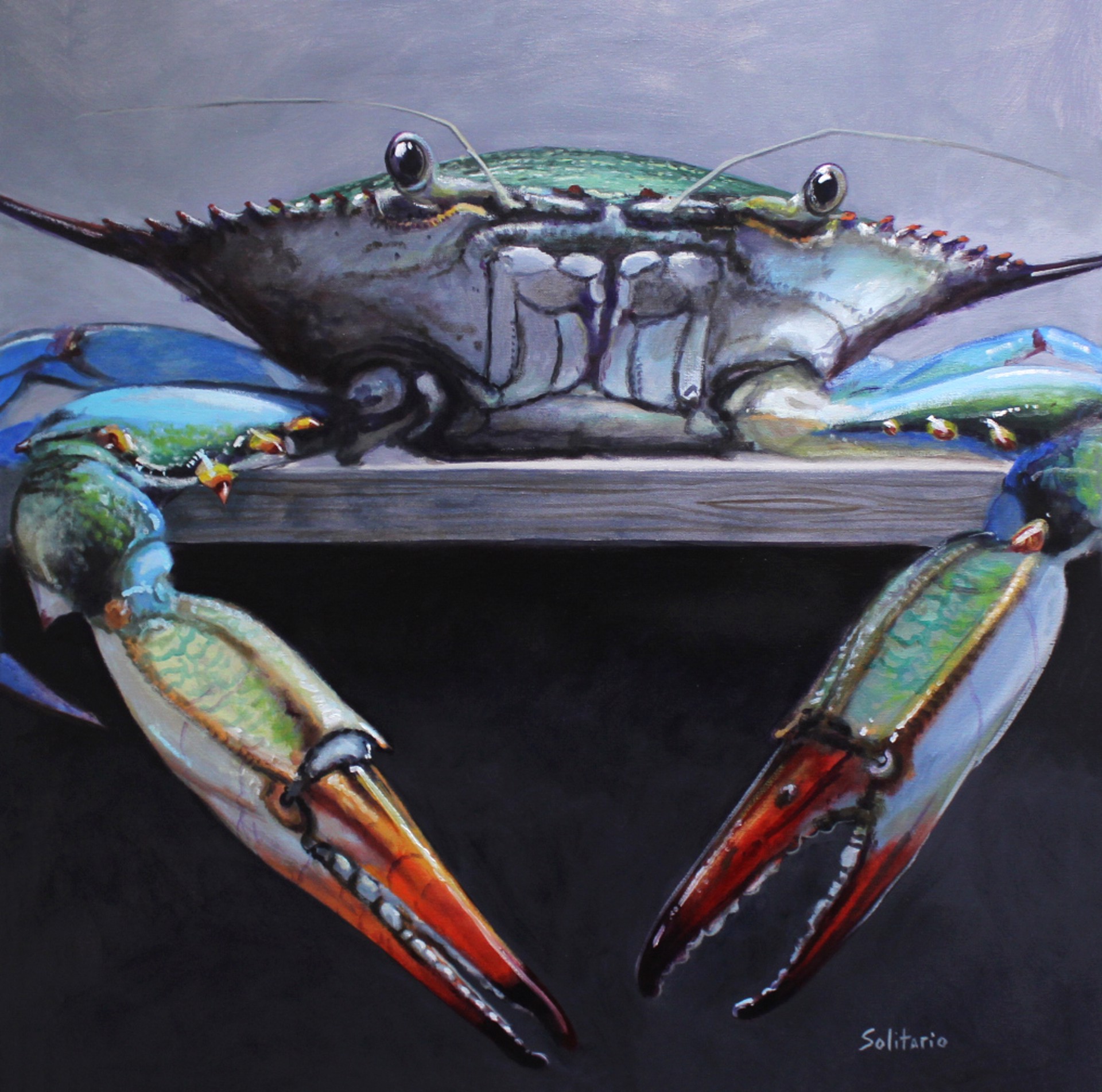 Blue Crab Staring Contest by Billy Solitario